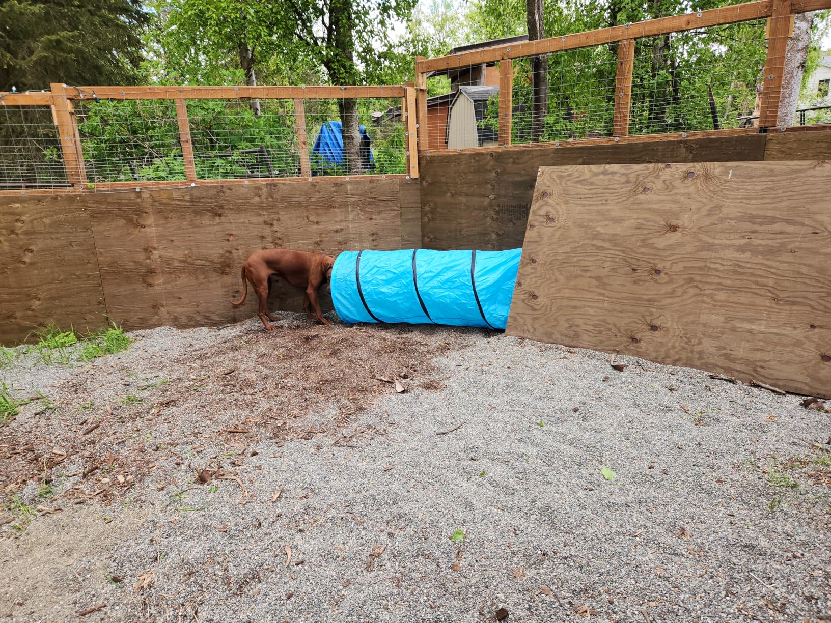 18 Ft Dog Agility Training Open Tunnel customer photo 2