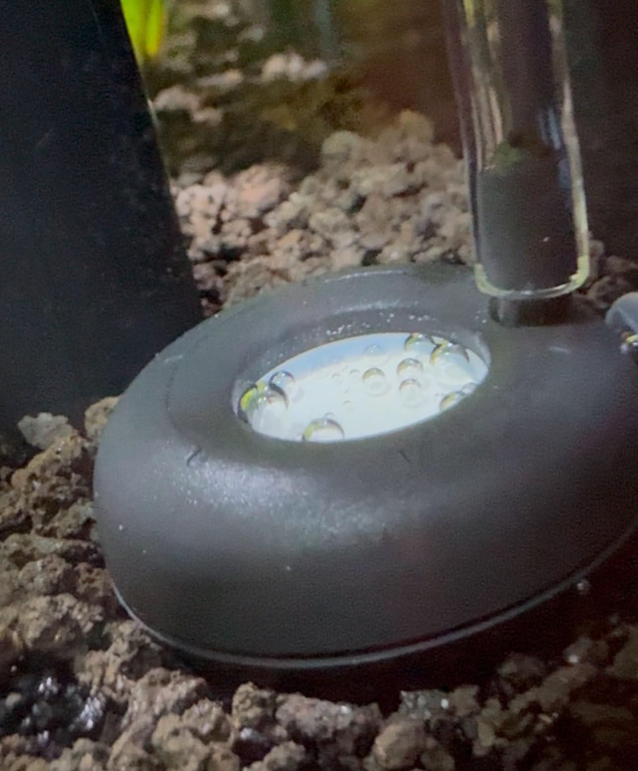 Fluval Ceramic CO2 Diffuser for Planted Aquariums, A7548 customer photo 2