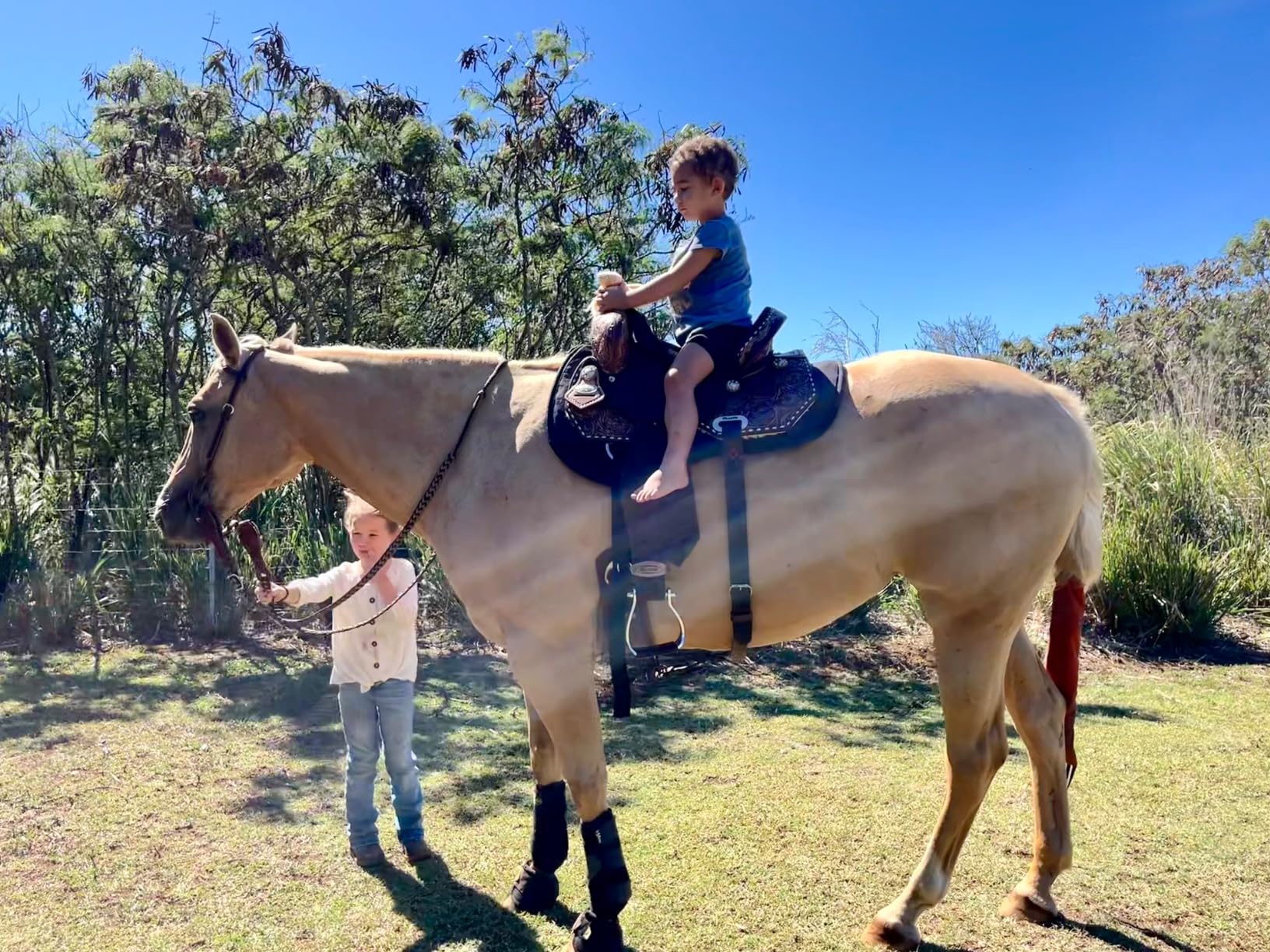 Reinsman Contoured Trail Pad with Breathable Non-Slip Tacky Too Bottom - Comfortable Durable Shock-Absorbing Stain & UV Resistant Horse Saddle Pad with Spine Relief Channel - 30