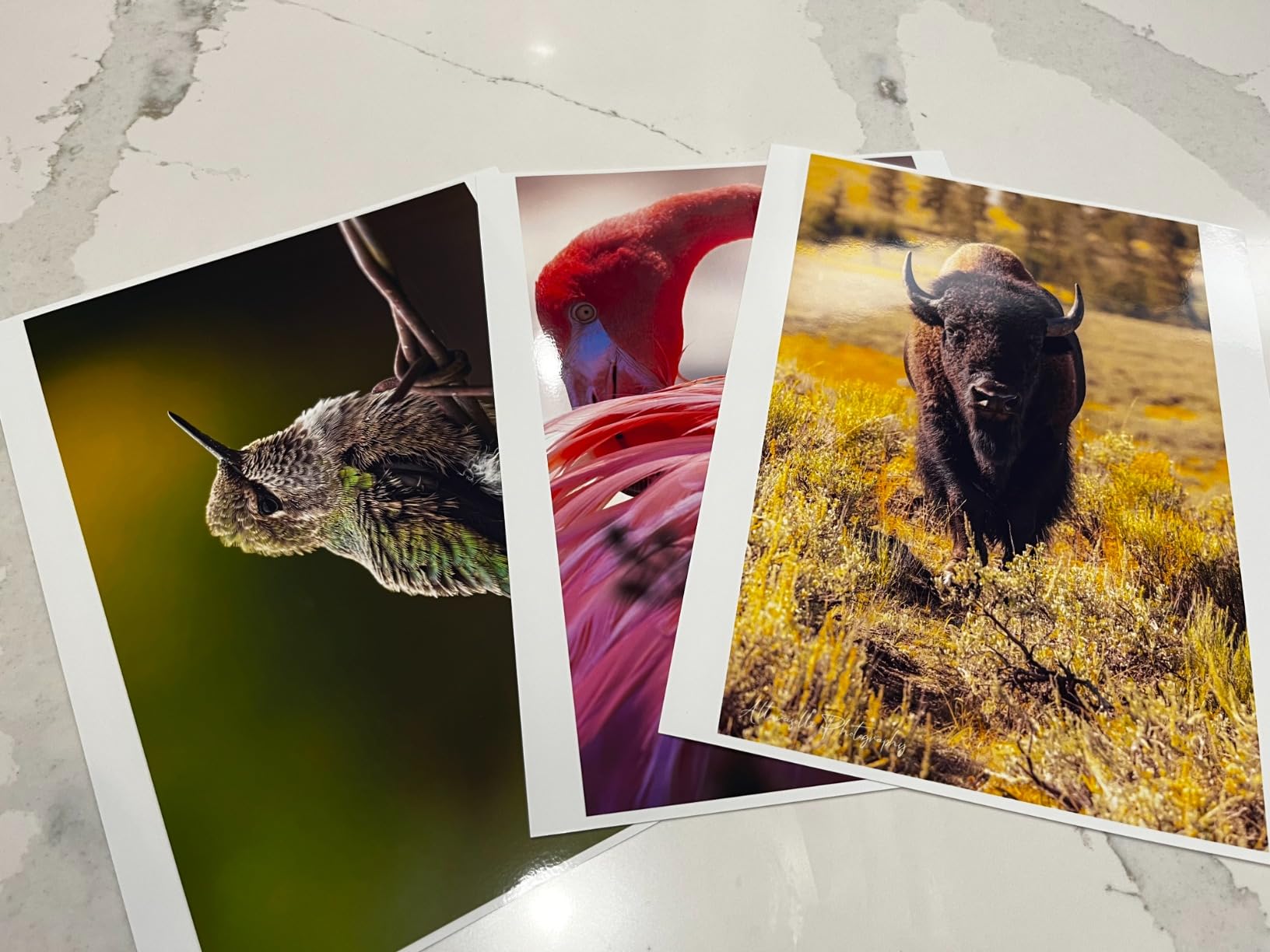 HP Premium Plus Photo Paper - Designed for HP Inkjet Printers, Glossy, 8.5x11 in, 50 sheets customer photo 1