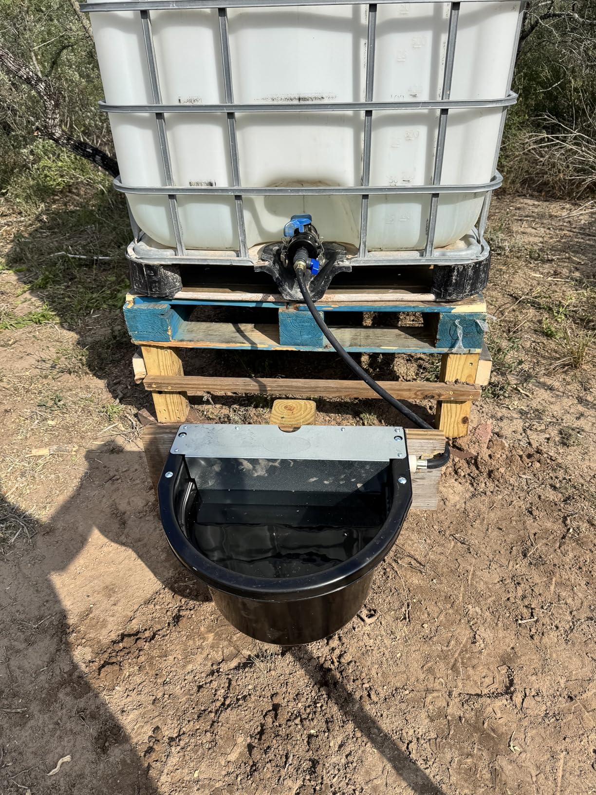 Little Giant® Automatic Animal Waterer | Float Controlled Automatic Waterer for Livestock | Heavy Duty and Durable | Made in USA | 4 Gallon | Black customer photo 1