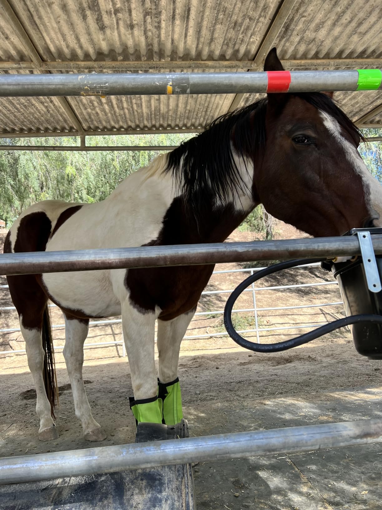 Little Giant® Automatic Animal Waterer | Float Controlled Automatic Waterer for Livestock | Heavy Duty and Durable | Made in USA | 4 Gallon | Black customer photo 2