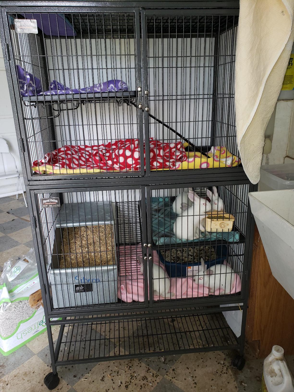 MidWest Homes for Pets Ferret Nation Double Unit Small Animal Cage, 4 Tiers, Includes Pans, Shelves, Ramps & Covers, for Ferrets & Small Animals customer photo 2