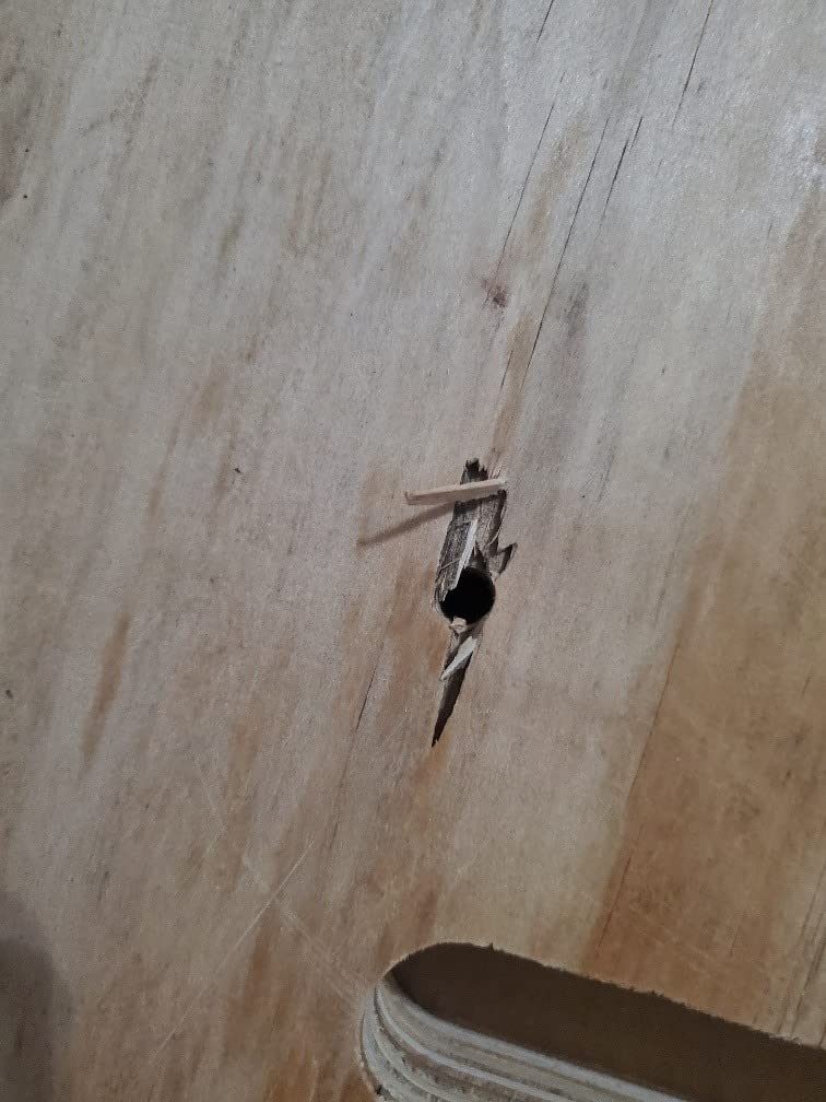 DU-1181N Industrial Top and Bottom Feed Sewing Machine customer photo 3