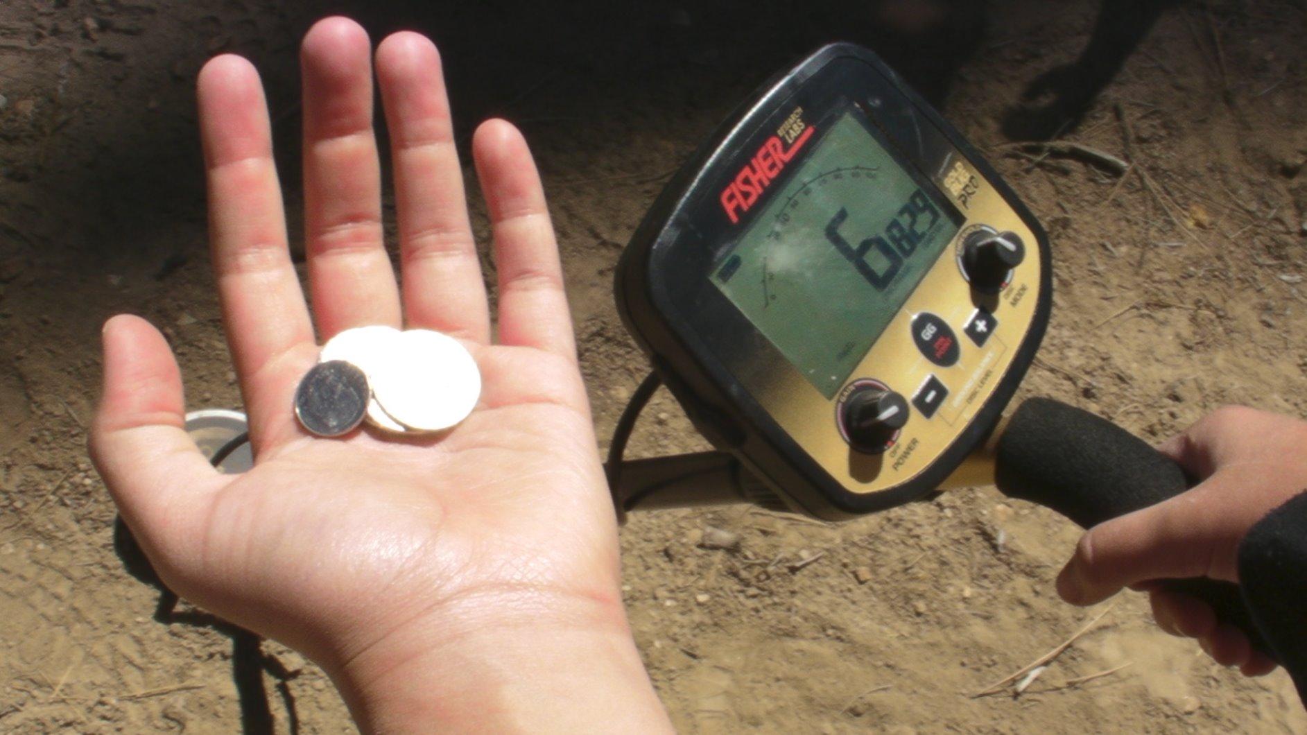 Fisher Gold Bug Pro Metal Detector with Precision 5