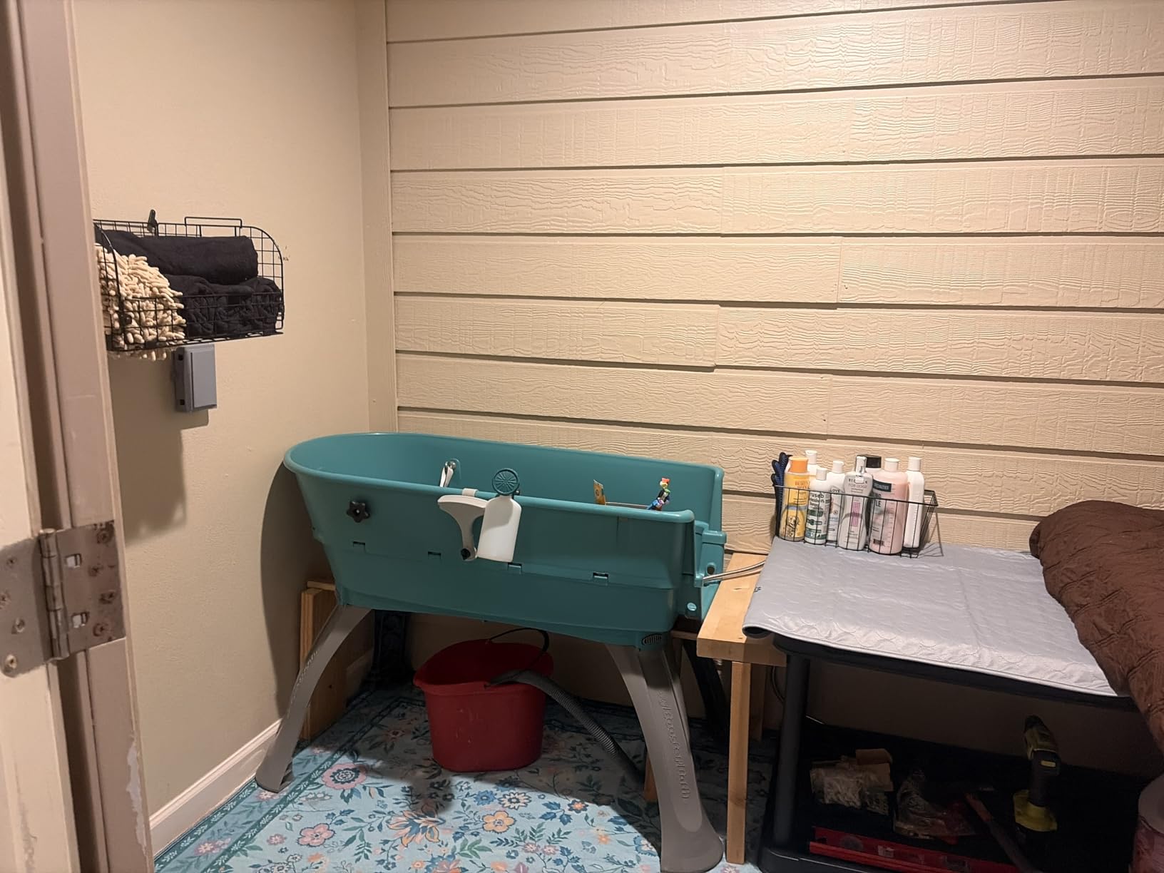 Booster Bath Elevated Pet Bathing, Teal, Large (Pack of 1) customer photo 1