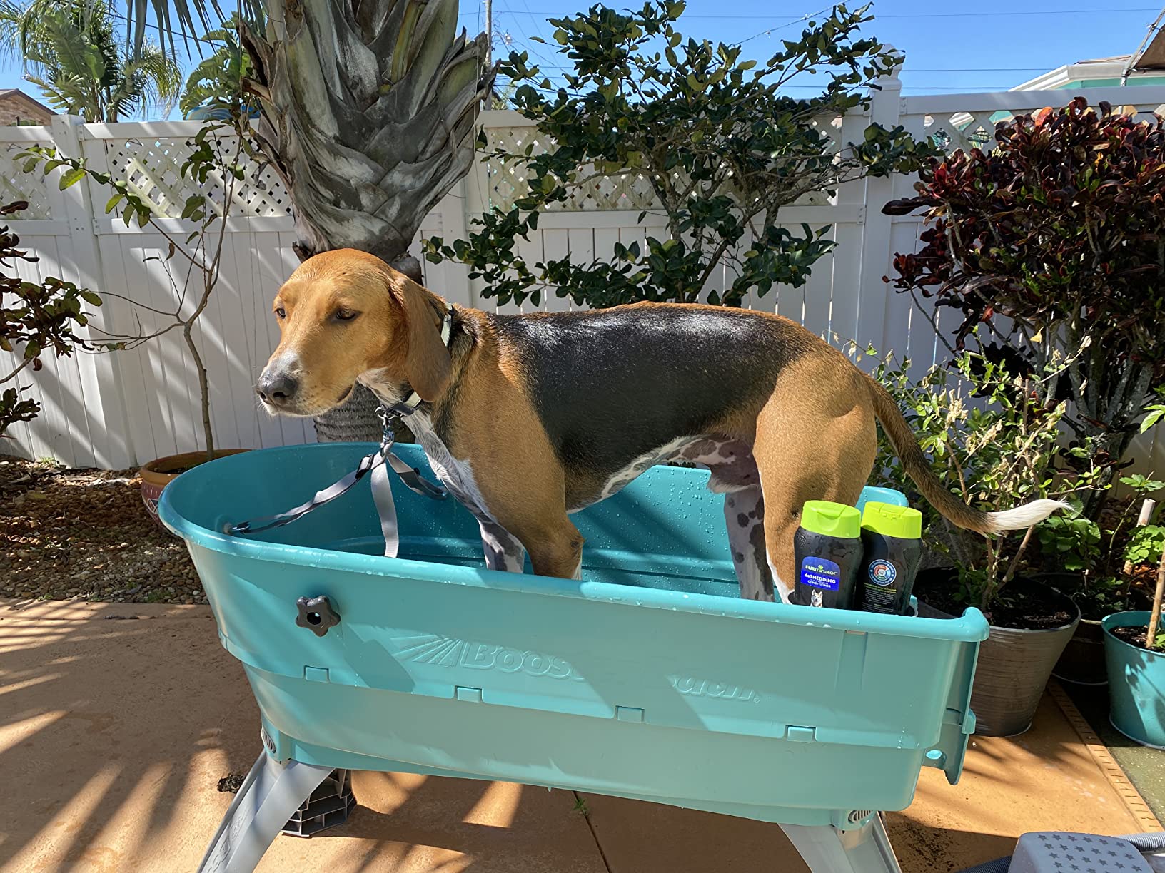 Booster Bath Elevated Pet Bathing, Teal, Large (Pack of 1) customer photo 2