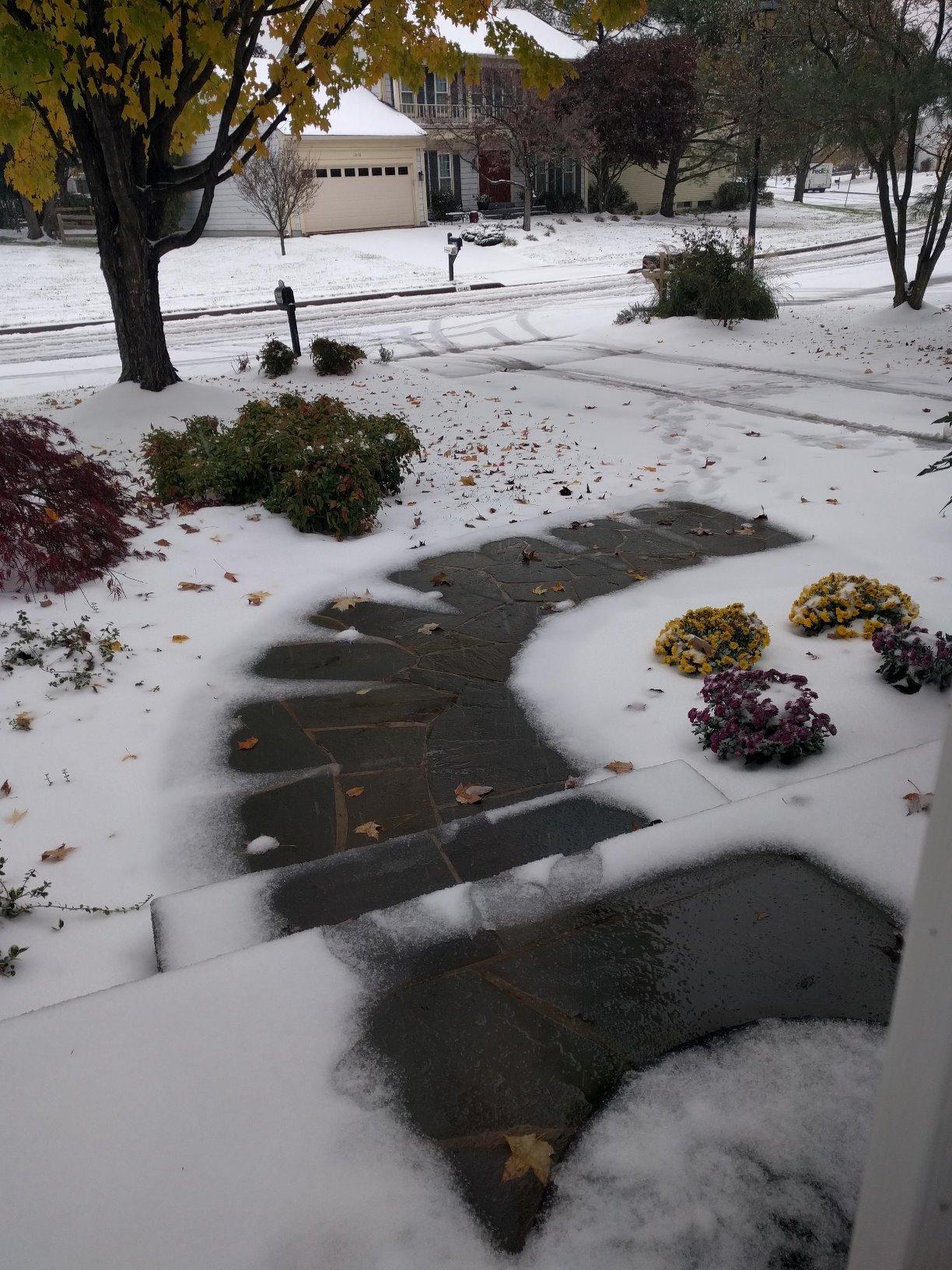 WarmlyYours 2x10 ft. Electric Ice and Snow Melting Mat 240V 1000 Watts - Embedded Under Asphalt, Concrete, or Pavers - Radiant Heated Driveway, Walkways, Sidewalks, Patios, Porch, Ramps PowerMat customer photo 1