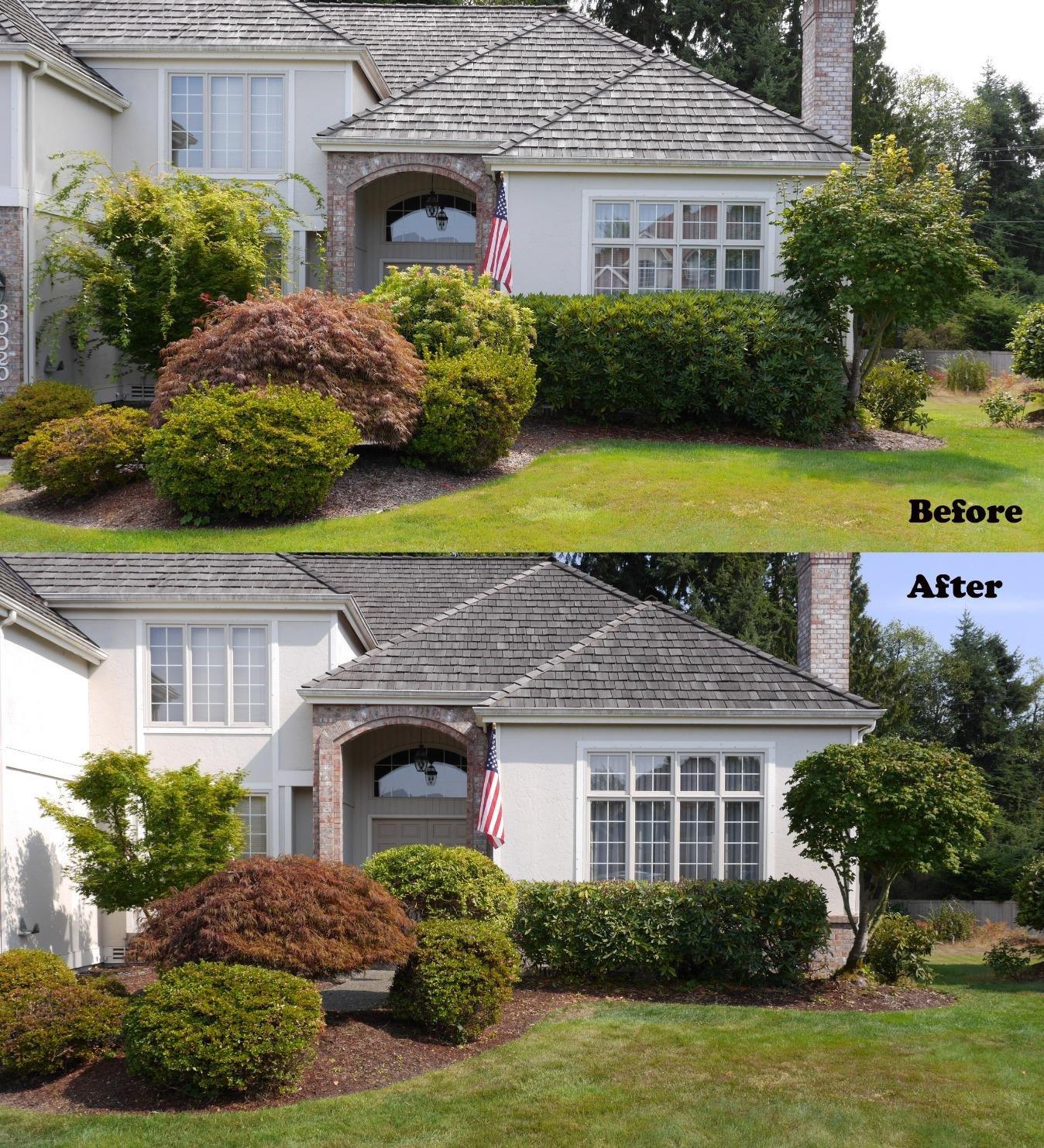 BLACK+DECKER 40V MAX Hedge Trimmer, Cordless, 24-Inch Blade, Battery and Charger Included (LHT2436) customer photo 1