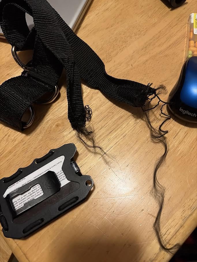 Body-Solid Best Fitness Functional Trainer Cable Machine, Full Body Workout Weight Stacks, Chest and Shoulder Exercise Home Gym LAT Pulldown Machines with 190lb Weights Stack, Midnight Black customer photo 2