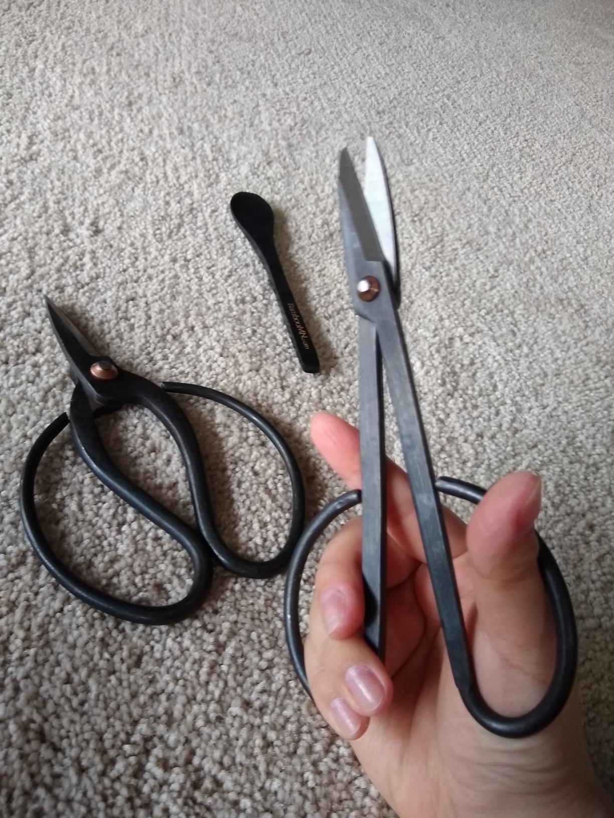 BambooMN Bonsai Basics Set - 8