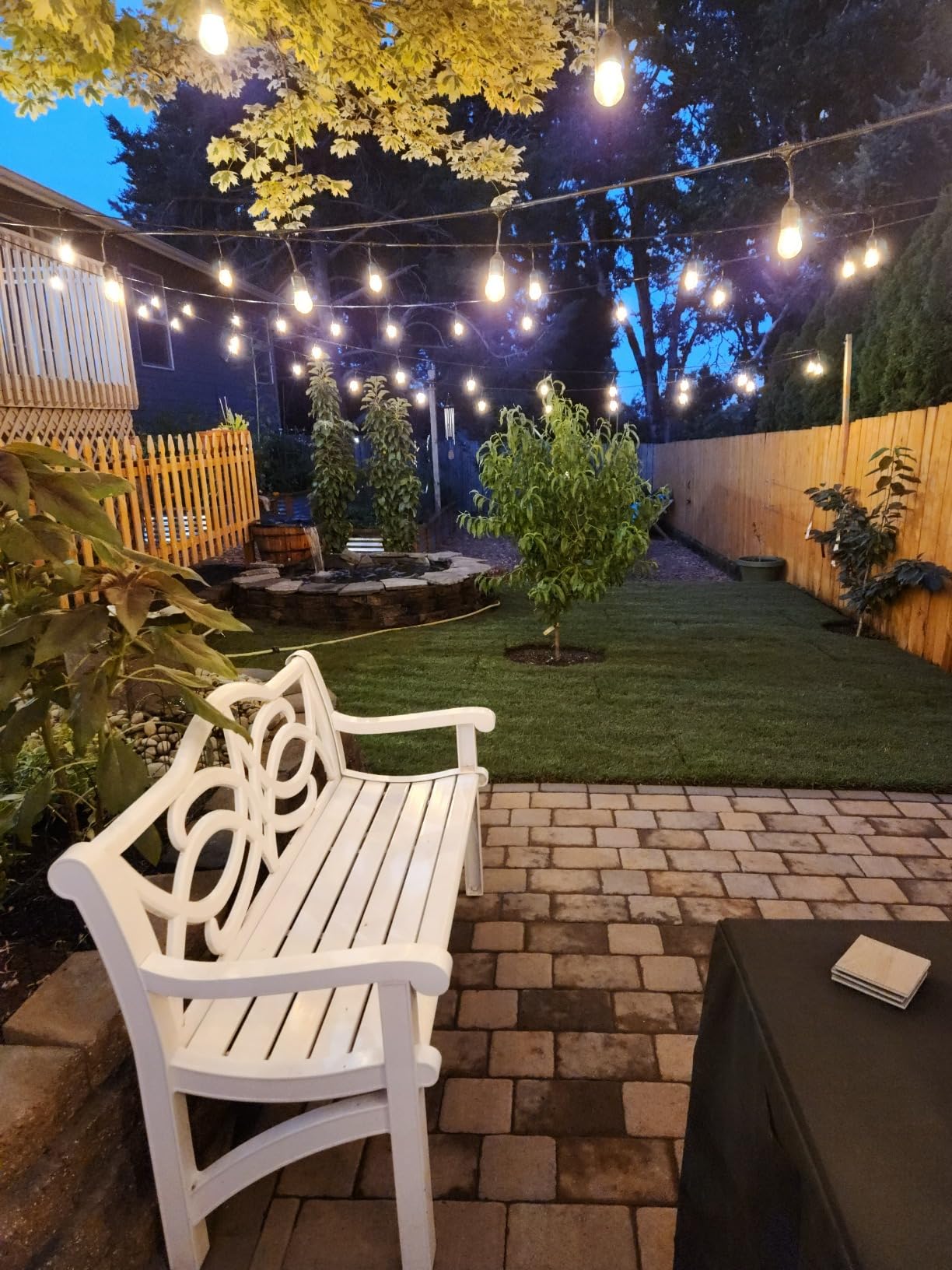 Aquascape 75000 Pond Air 2 (Double Outlet Aeration Kit) customer photo 1