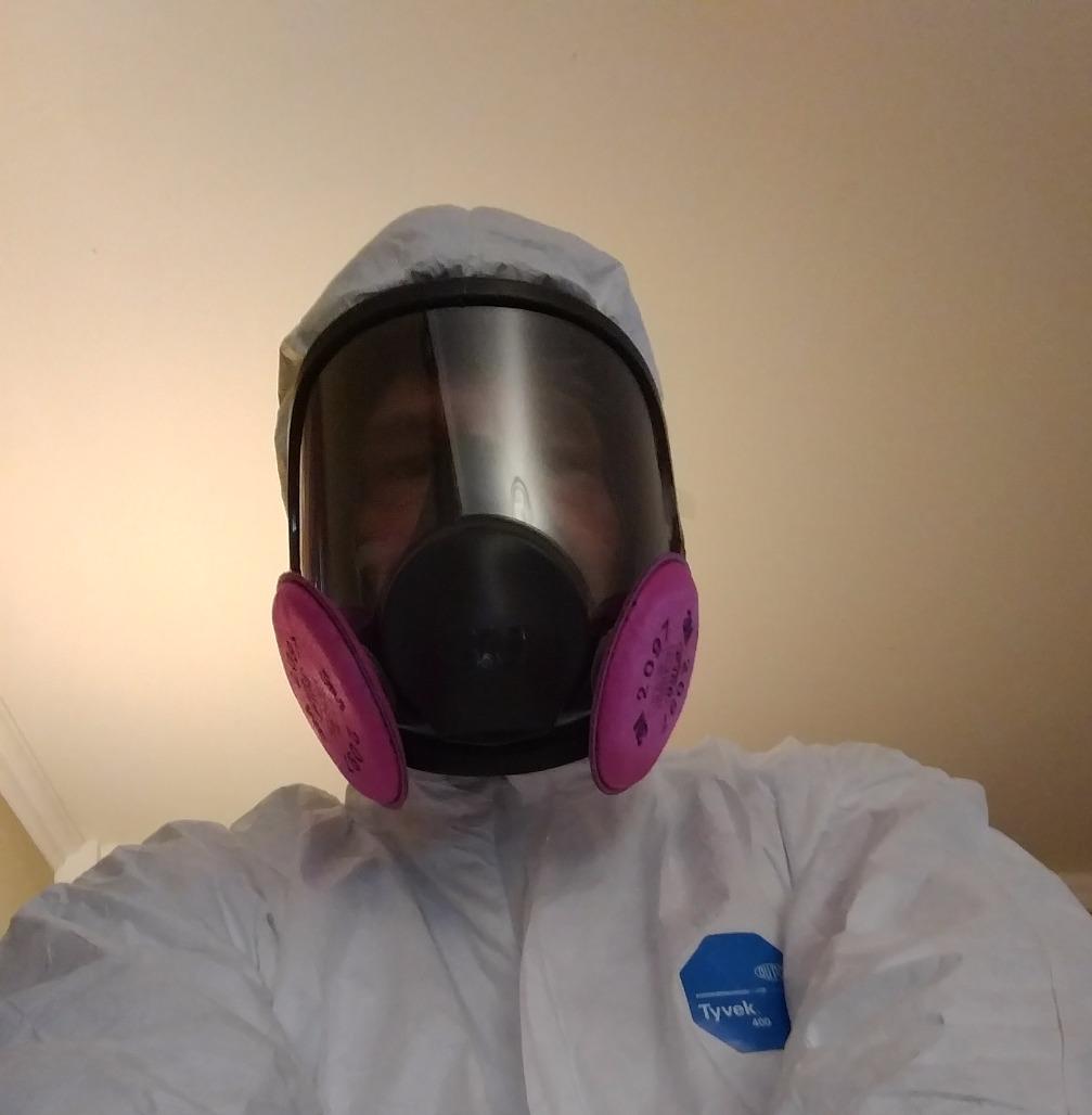 3M Full Facepiece Reusable Respirator 6800, NIOSH, Large Lens, ANSI High Impact Eye Protection, Silicone Face Seal, Four-Point Harness, Comfortable Fit, Painting, Dust, Chemicals, Medium customer photo 2