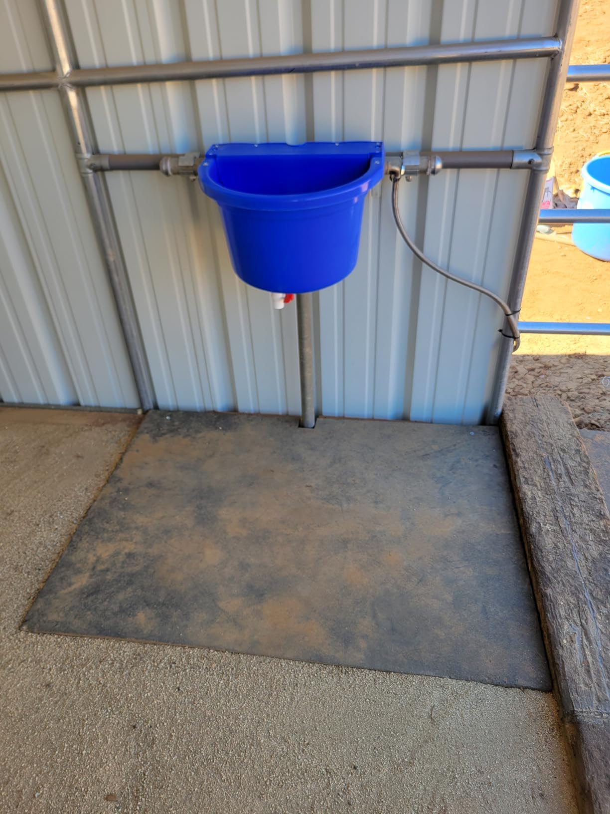 Little Giant® Automatic Animal Waterer | Float Controlled Automatic Waterer for Livestock | Heavy Duty and Durable | Made in USA | 4 Gallon | Blue customer photo 1