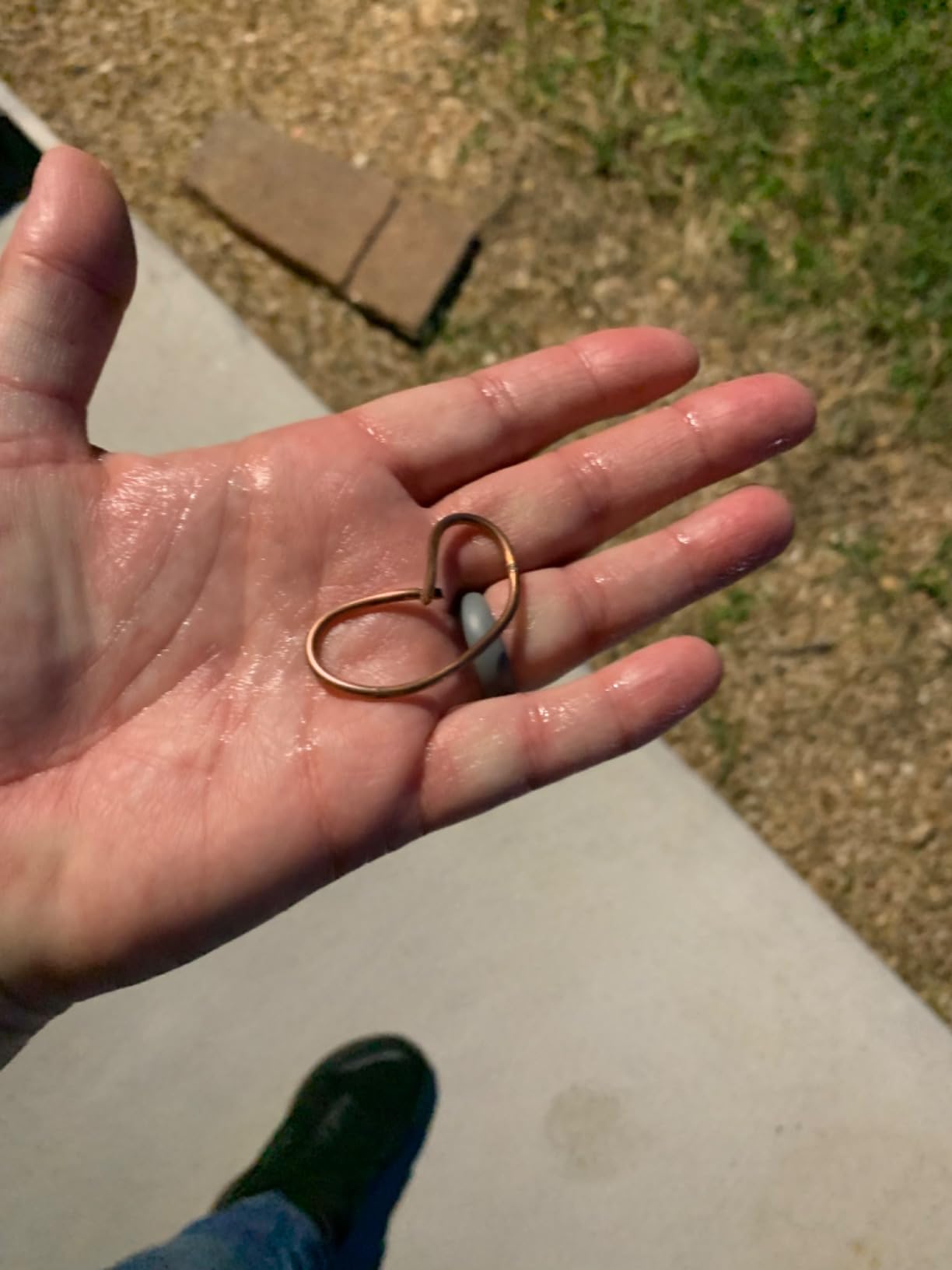 Little Giant® Automatic Animal Waterer | Float Controlled Automatic Waterer for Livestock | Heavy Duty and Durable | Made in USA | 4 Gallon | Blue customer photo 2