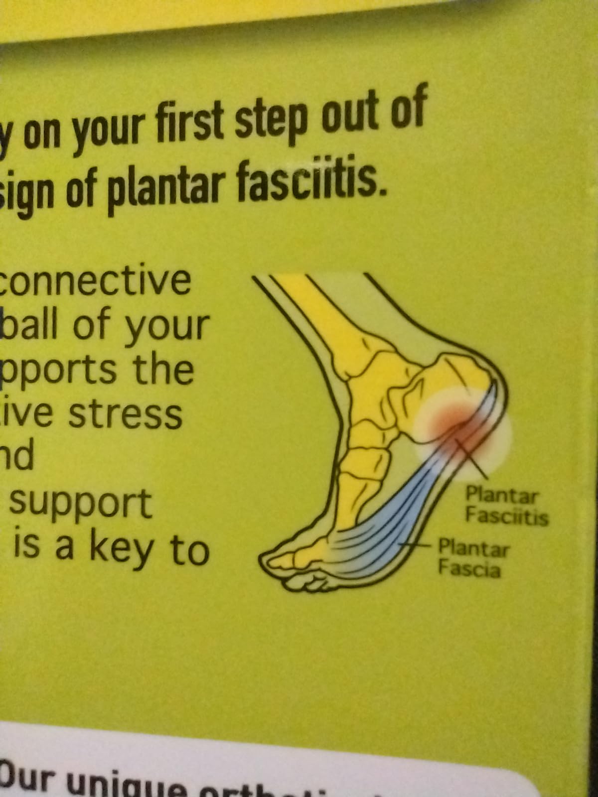 PROFOOT Plantar Fasciitis Orthotic Insoles for Women (Sizes 6-10) - Gel Shoe Inserts for Instant Heel Pain Relief and Arch Support, 1 Pair of Heel Pads customer photo 1