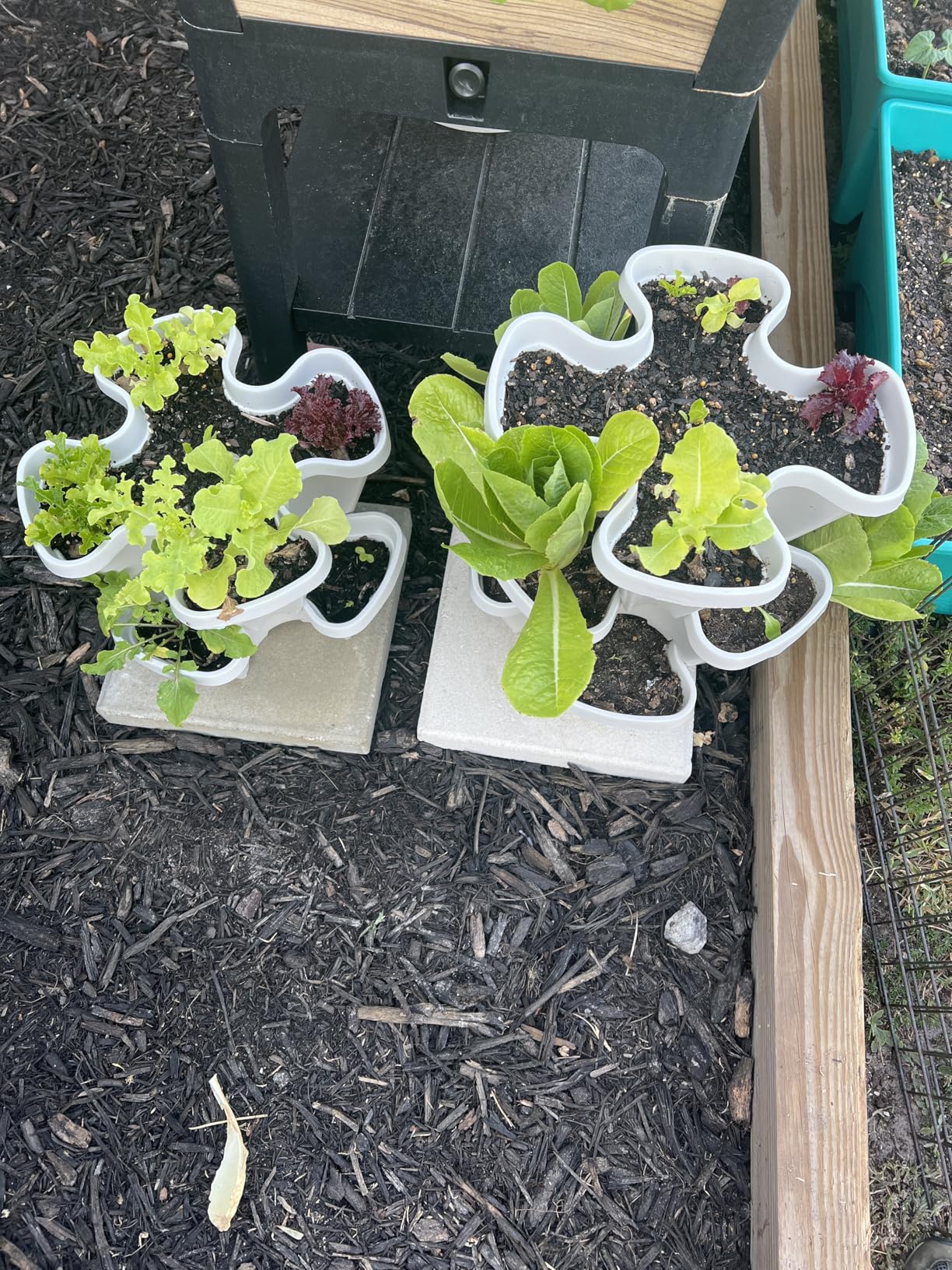 Mr. Stacky 1305-HG 5-Tier Stackable Strawberry, Herb, Flower, & Vegetable Planter - Vertical Gardening Indoor / Outdoor Stacking Garden Pots Hunter Green, 22.5 Quarts customer photo 2