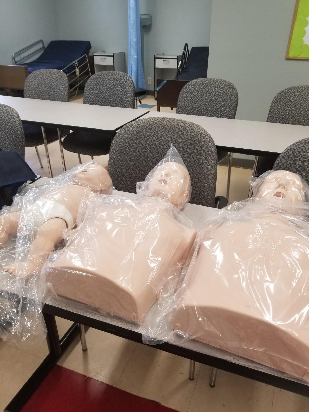 Prestan Collection of CPR Manikins (Adult, Child, & Infant), Medium Skin Tone customer photo 2