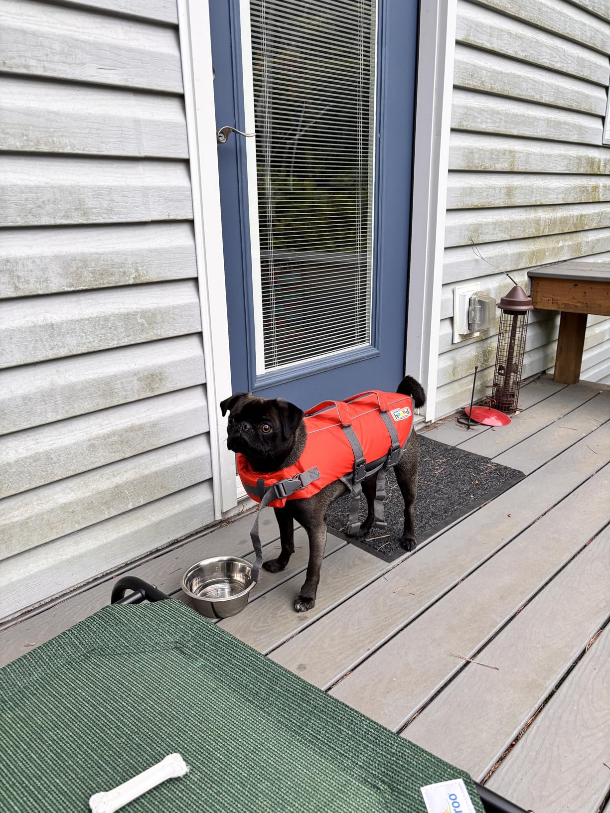 Outward Hound Granby Splash Dog Life Jacket, Life Vest, Orange, Medium | Max Buoyancy, Adjustable Fit, Head/Neck Support, Rescue Handle, Reflective, Swimming & Boating customer photo 1