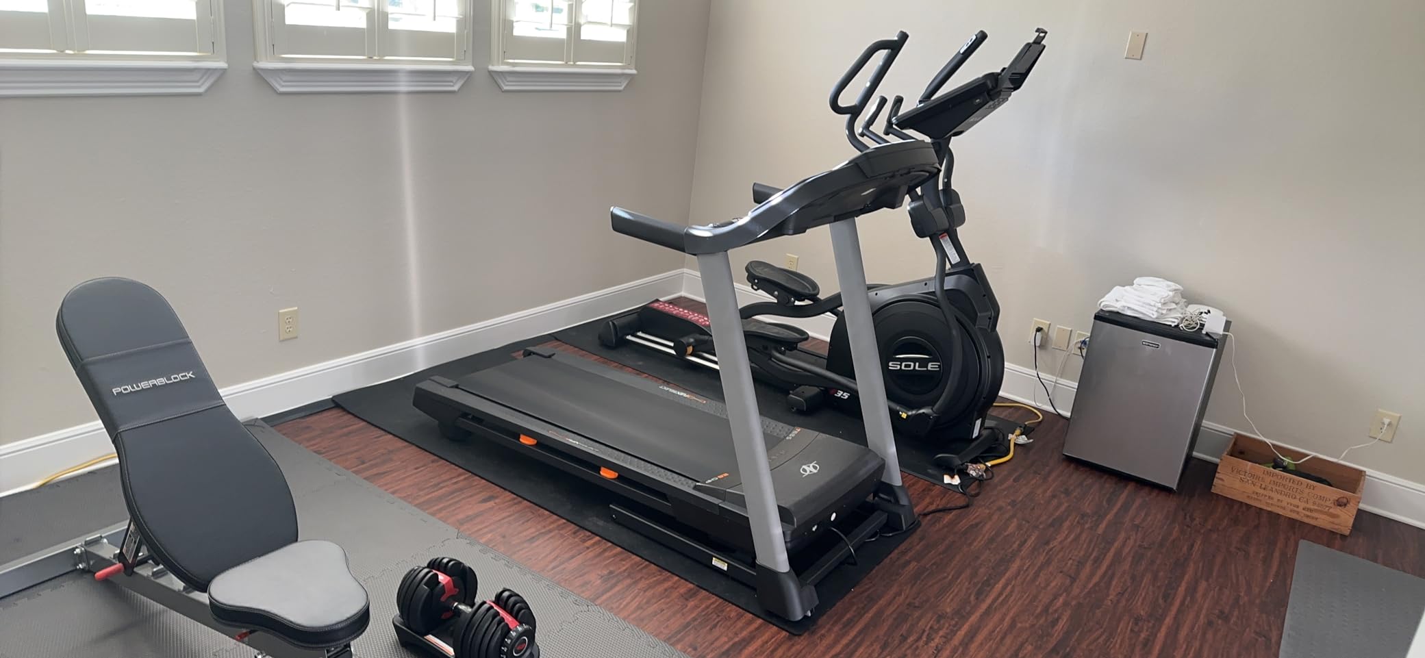 SOLE Fitness Elliptical Exercise Machines, Models E25, E35, E95, E95S, E98, Elliptical Machines for Home Use, Home Exercise Equipment for Cardio Training, Work from Home Fitness Stepper Machine customer photo 1