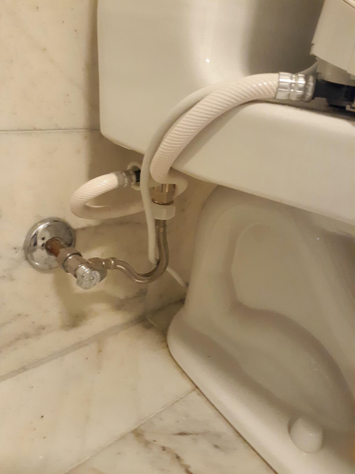 TOTO WASHLET S350e Electronic Bidet Toilet Seat with Auto Open and Close and EWATER+ Cleansing, Round, Cotton White customer photo 1