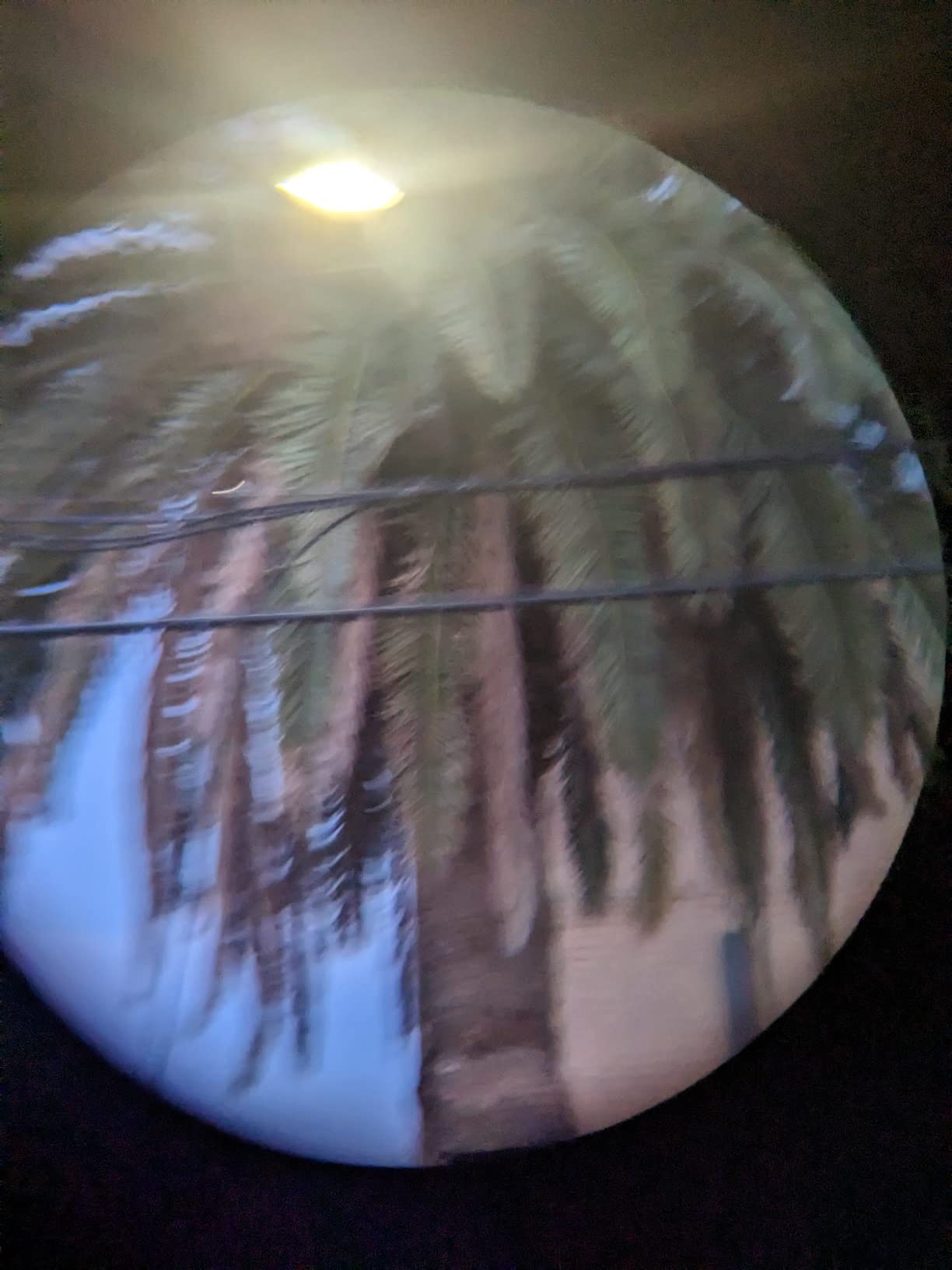 Bushnell H2O Xtreme 10x42 Compact Waterproof Binoculars - Fully Multi-Coated Lenses, Anti-Fog, High-Performance Optics for Hunting, Birdwatching, Fishing, Boating, and Travel customer photo 2