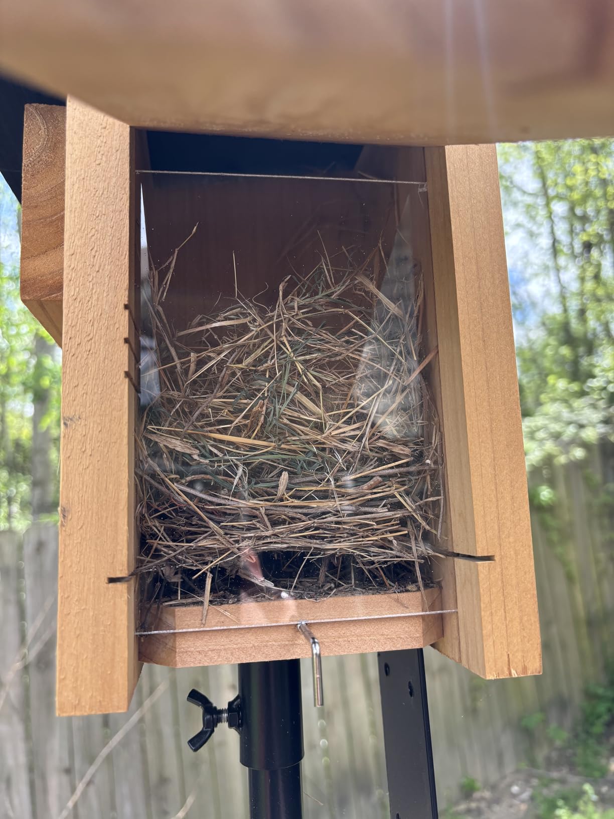 Nature's Way Bird Products CWH4 Cedar Bluebird Viewing House customer photo 1