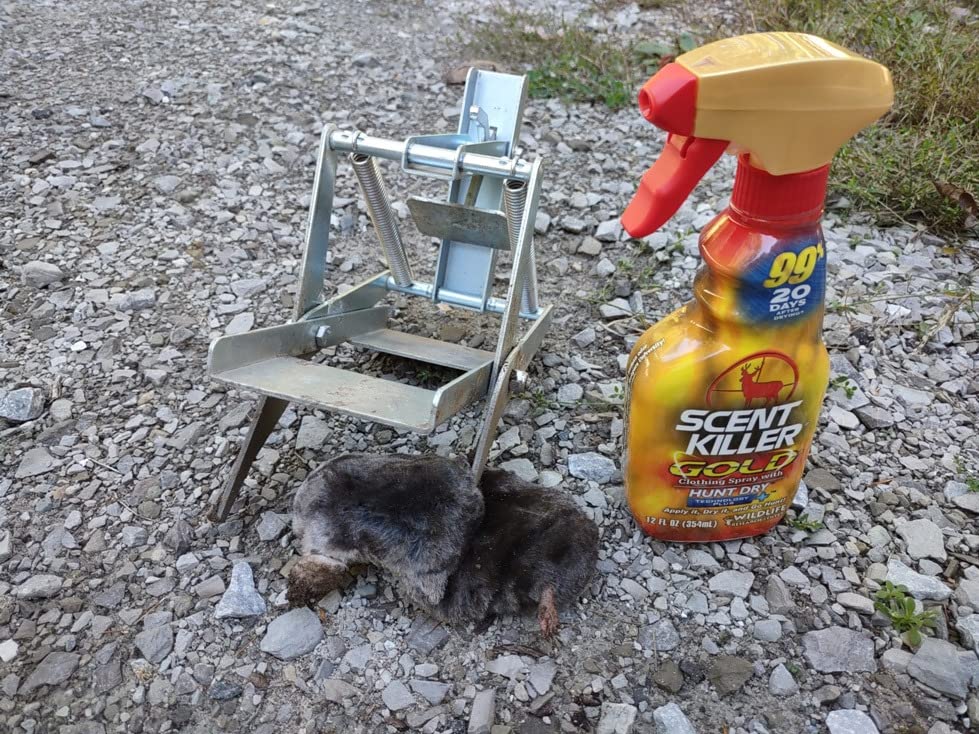 Wildlife Research Center Scent Killer Gold Spray & Refill (44 FL OZ) - Hunting Scent Eliminator with Hunt Dry Technology customer photo 1