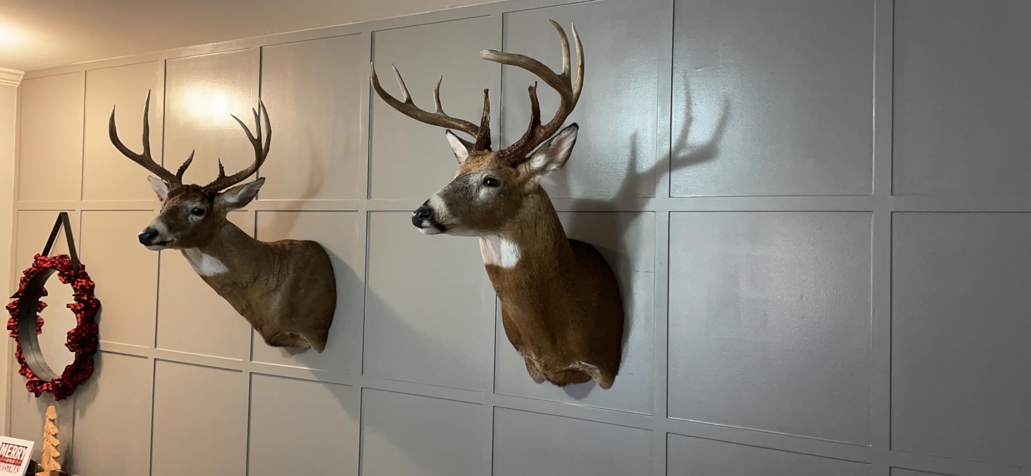 Wildlife Research Center Scent Killer Gold Spray & Refill (44 FL OZ) - Hunting Scent Eliminator with Hunt Dry Technology customer photo 2