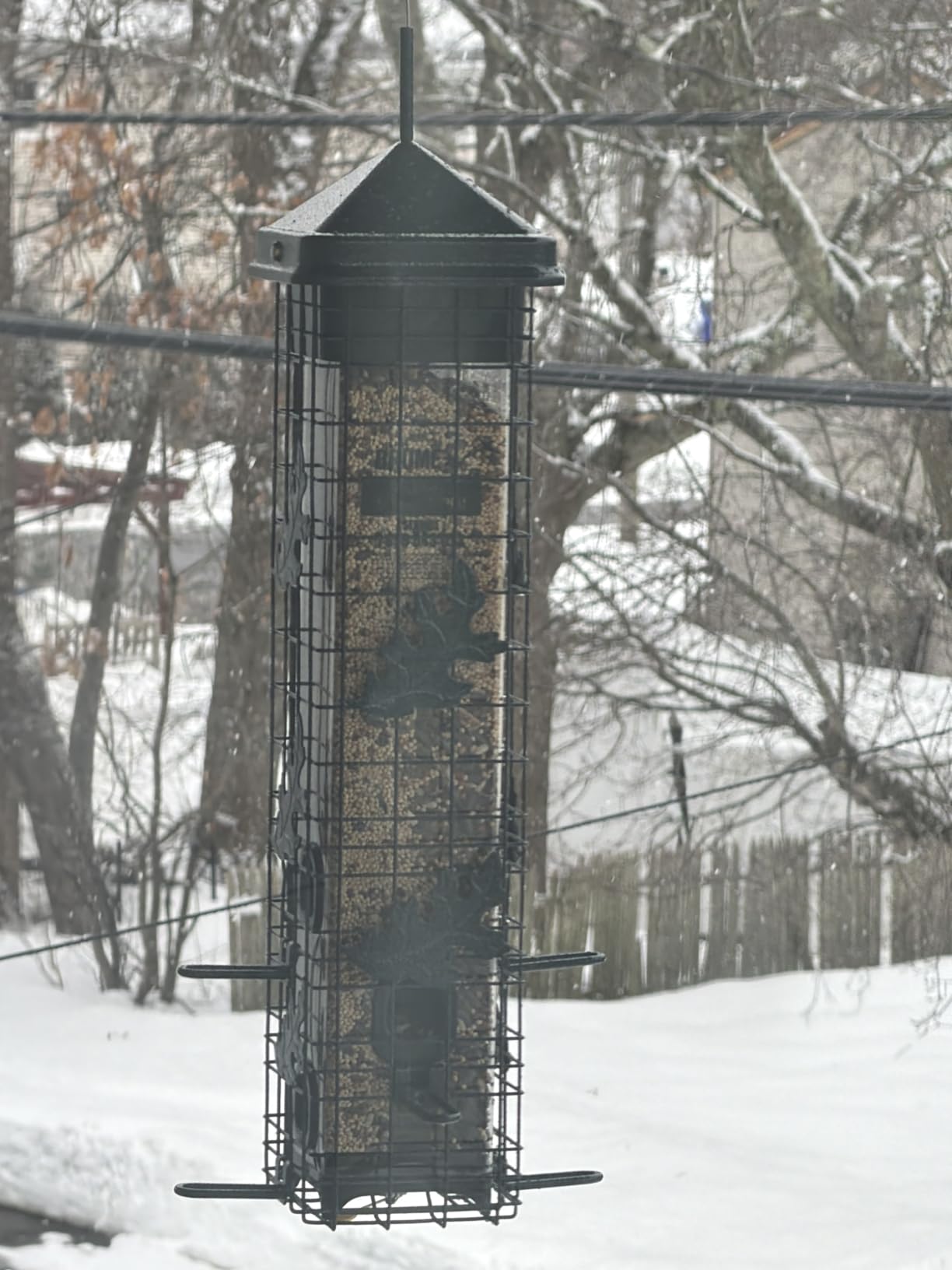 Squirrel Solution200 Squirrel-proof Bird Feeder w/6 Feeding Ports, 3.4-pound Seed Capacity, Free Seed Funnel customer photo 1