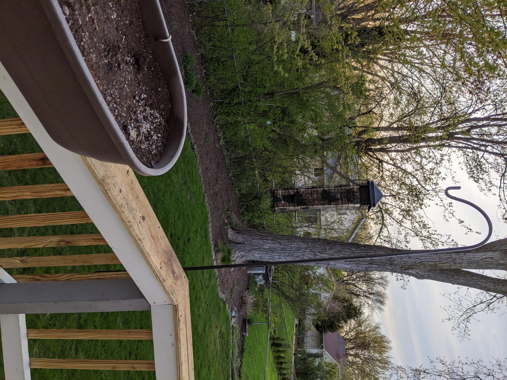 Squirrel Solution200 Squirrel-proof Bird Feeder w/6 Feeding Ports, 3.4-pound Seed Capacity, Free Seed Funnel customer photo 2