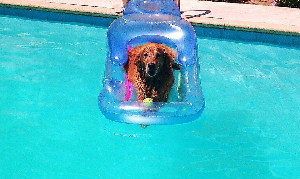 Intex King Kool Inflatable Lounge, 63