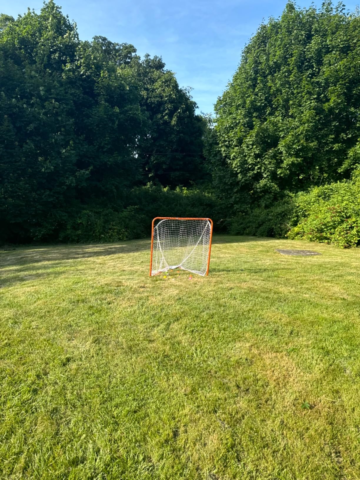 Franklin Sports Backyard Lacrosse Goal - Kids + Adult Lacrosse Training Net - Lacrosse Training Equipment - Perfect for Youth + Adult Training customer photo 1