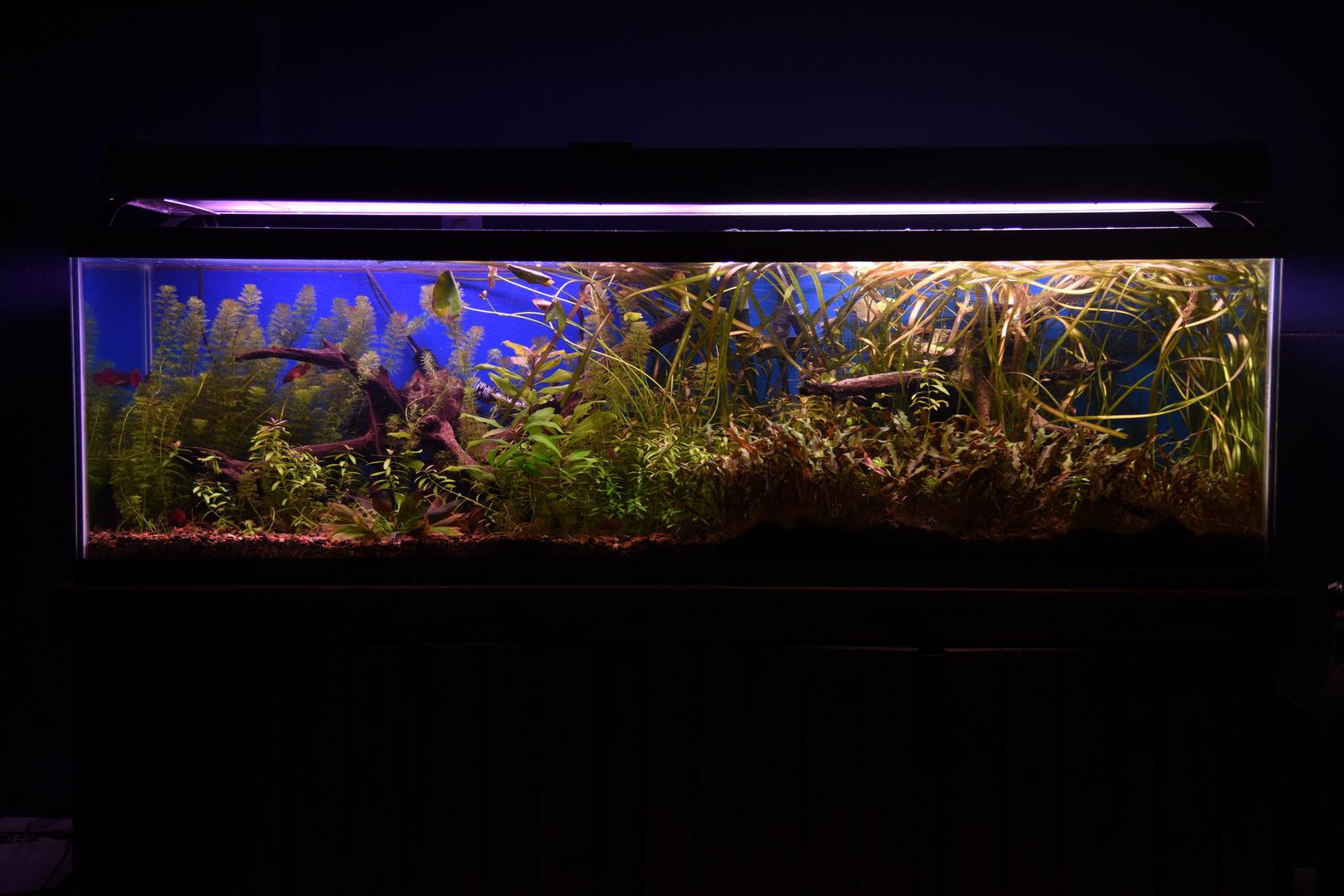 Fluval FX6 High Performance Canister Filter for Aquariums up to 400 Gal. customer photo 1