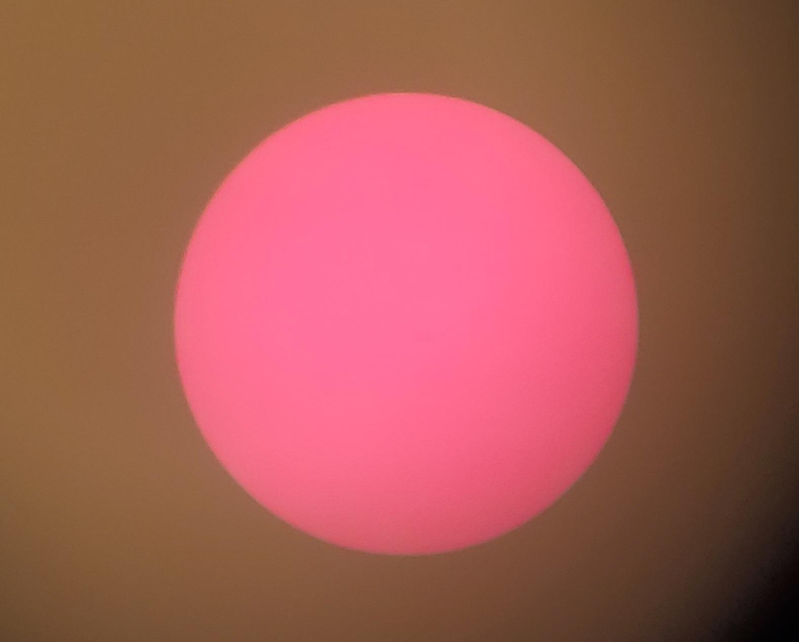 Celestron Regal M2 100ED Spotting Scope customer photo 1