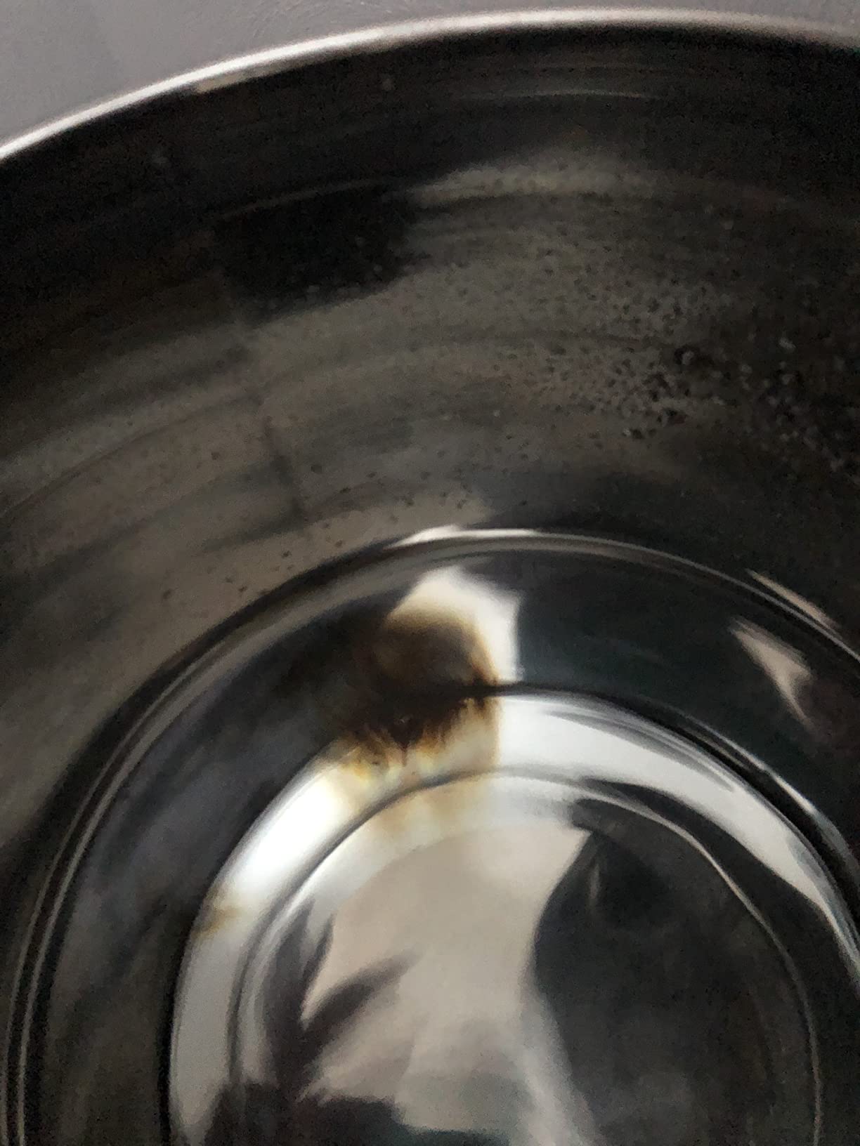 Royal Berkey Gravity-Fed Stainless Steel Countertop Water Filter System 3.25 Gallon with 2 Authentic Black Berkey Elements BB9-2 Filters customer photo 2