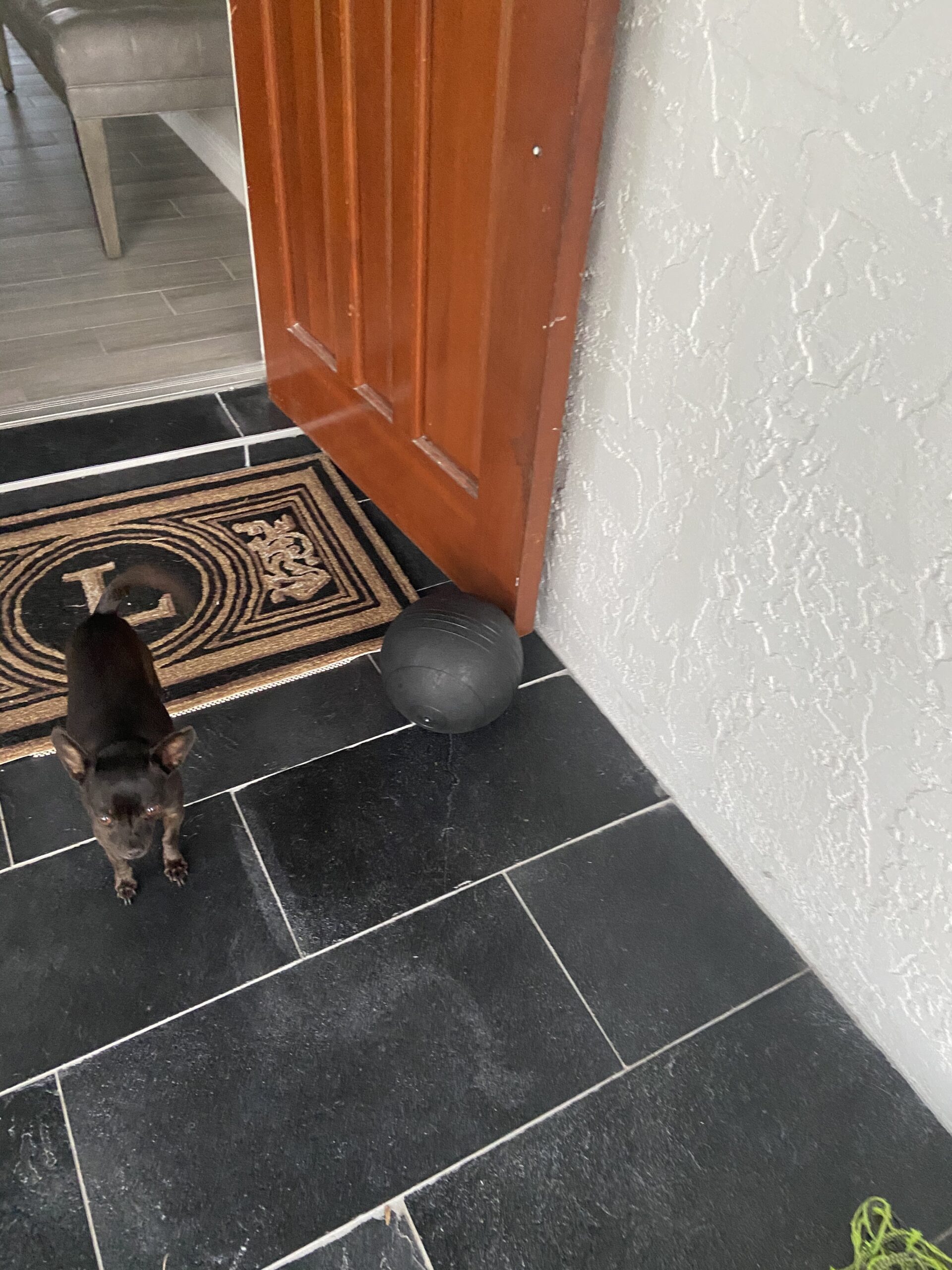 JFIT Slam Ball - Durable Weighted Ball for Exercise, Crossfit, Strength Training customer photo 2