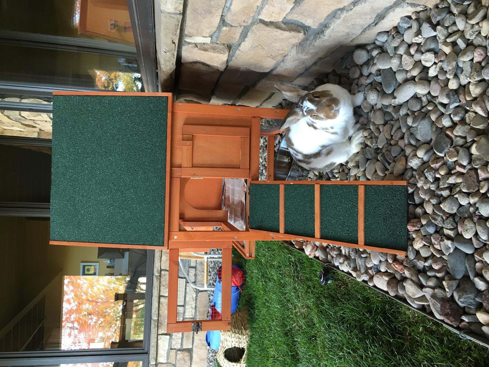 TRIXIE natura Outdoor Rabbit Hutch with Run - Small 2-Story Rabbit Cage with Non-Slip Ramp - Elevated Small Animal House with Secure Playpen, Hinged Roof & Pull-Out Tray - in Natural customer photo 1