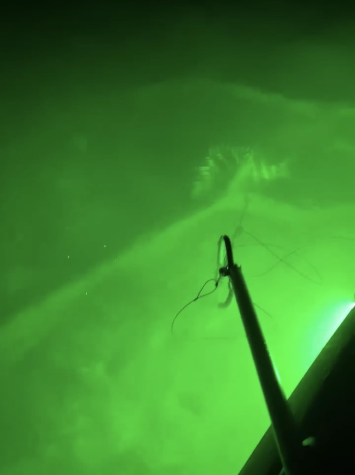 Cressi Apache Aluminum Speargun with Galvanized Notched Shaft & Circular Elastic Band - Made in Italy customer photo 1