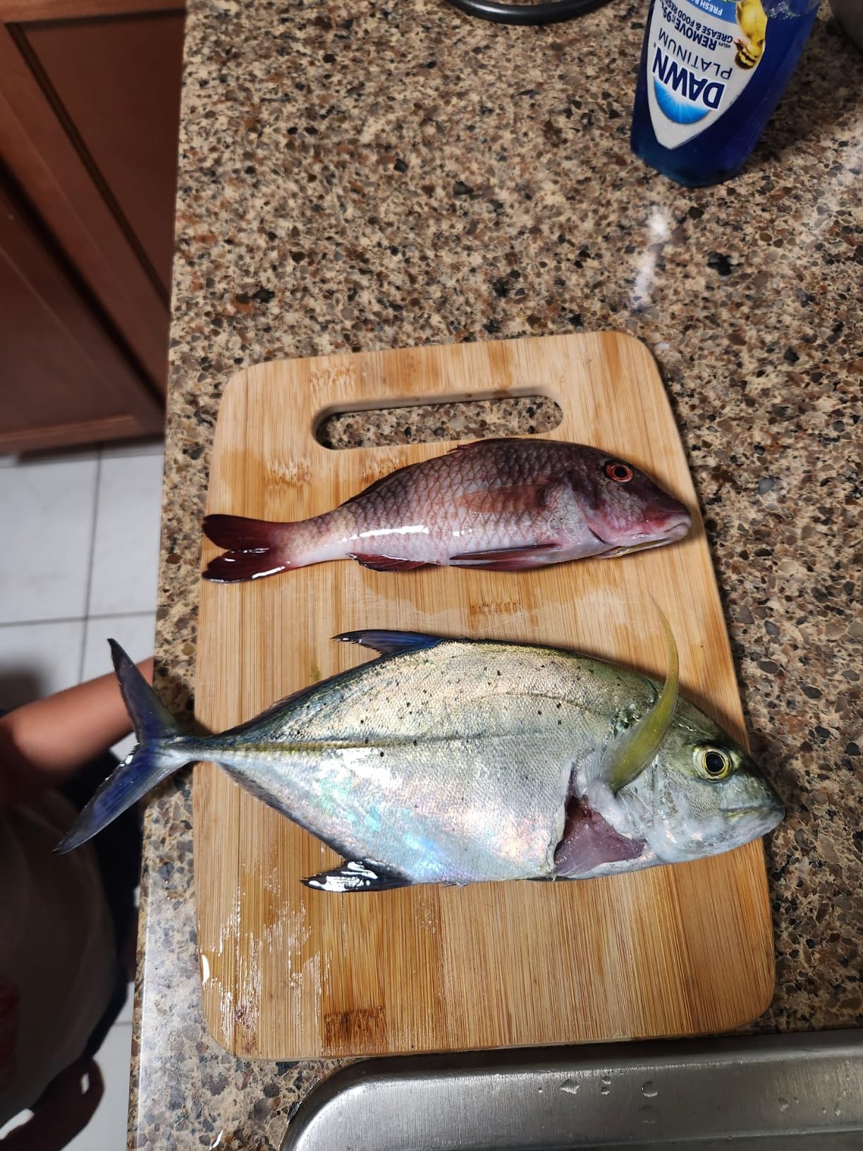 Cressi Apache Aluminum Speargun with Galvanized Notched Shaft & Circular Elastic Band - Made in Italy customer photo 2