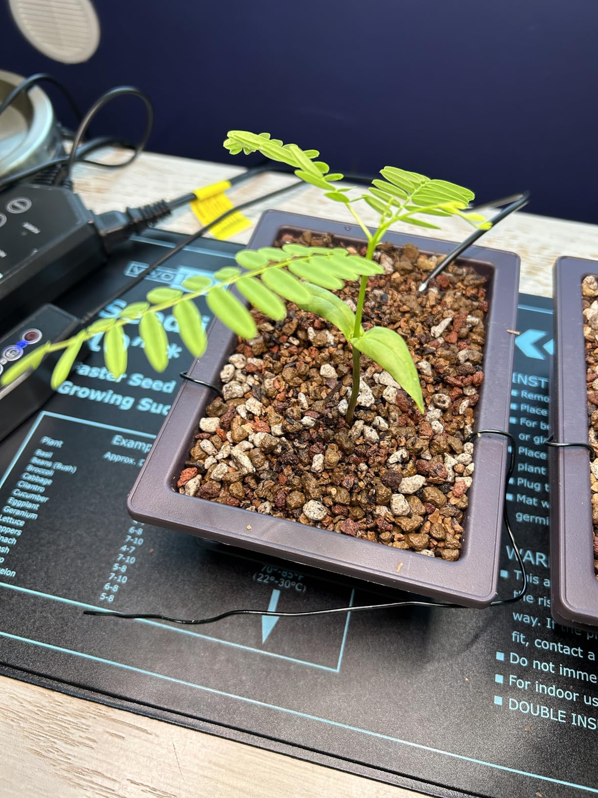 Akadama 2.25qt Bonsai Soil, Sifted Through 1/8 Inch Mesh Then Through 1/16 Mesh, Dust and Small Particles Removed customer photo 1