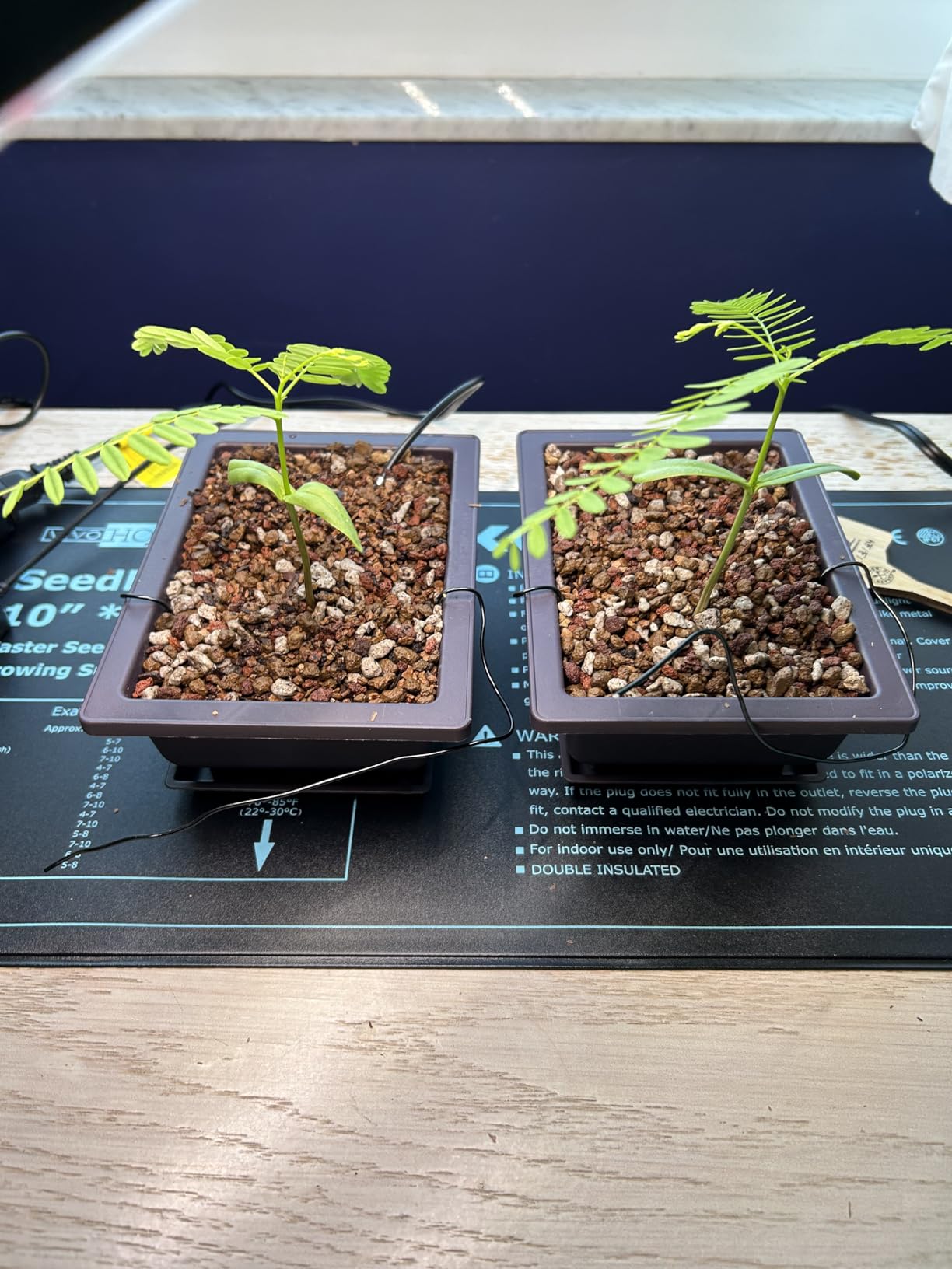 Akadama 2.25qt Bonsai Soil, Sifted Through 1/8 Inch Mesh Then Through 1/16 Mesh, Dust and Small Particles Removed customer photo 2