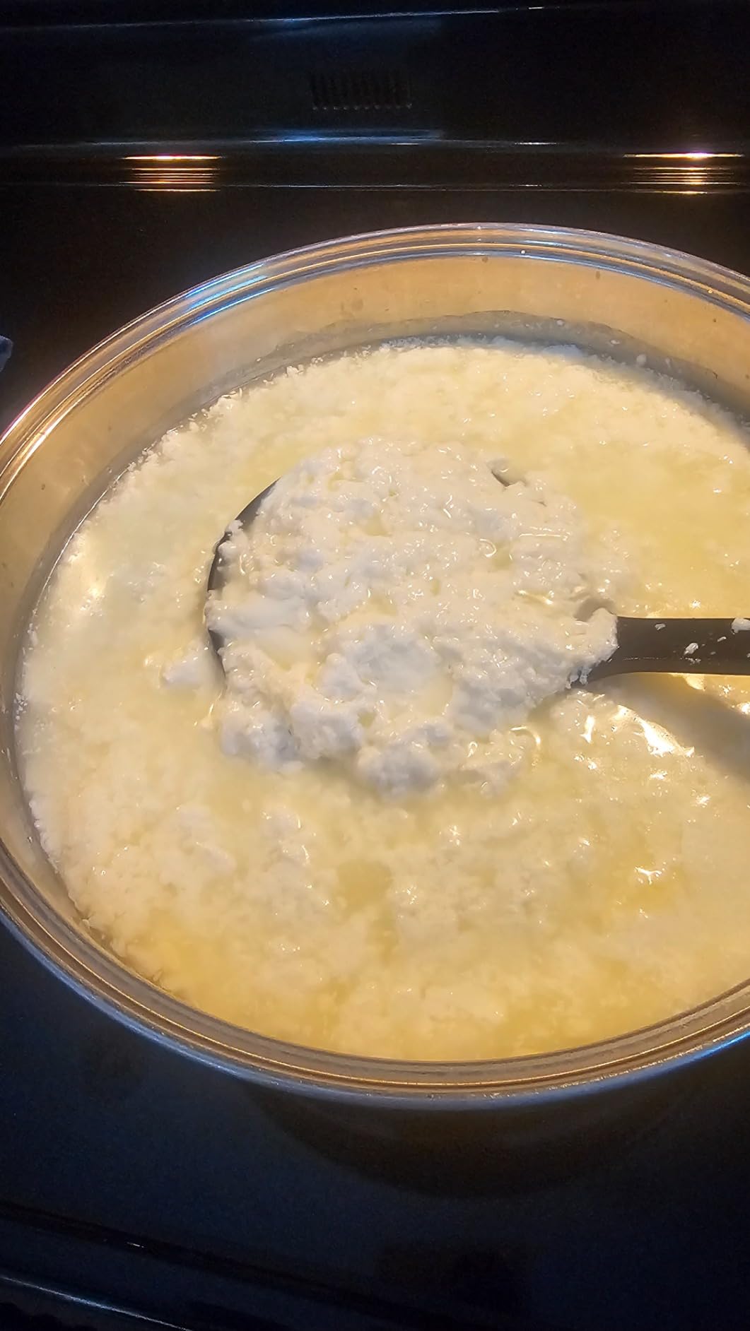 Basic Beginner Cheese Making Kit - Mozzarella, Burrata, Burricota, Chevre, Ricotta, Mascarpone & Butter! customer photo 1