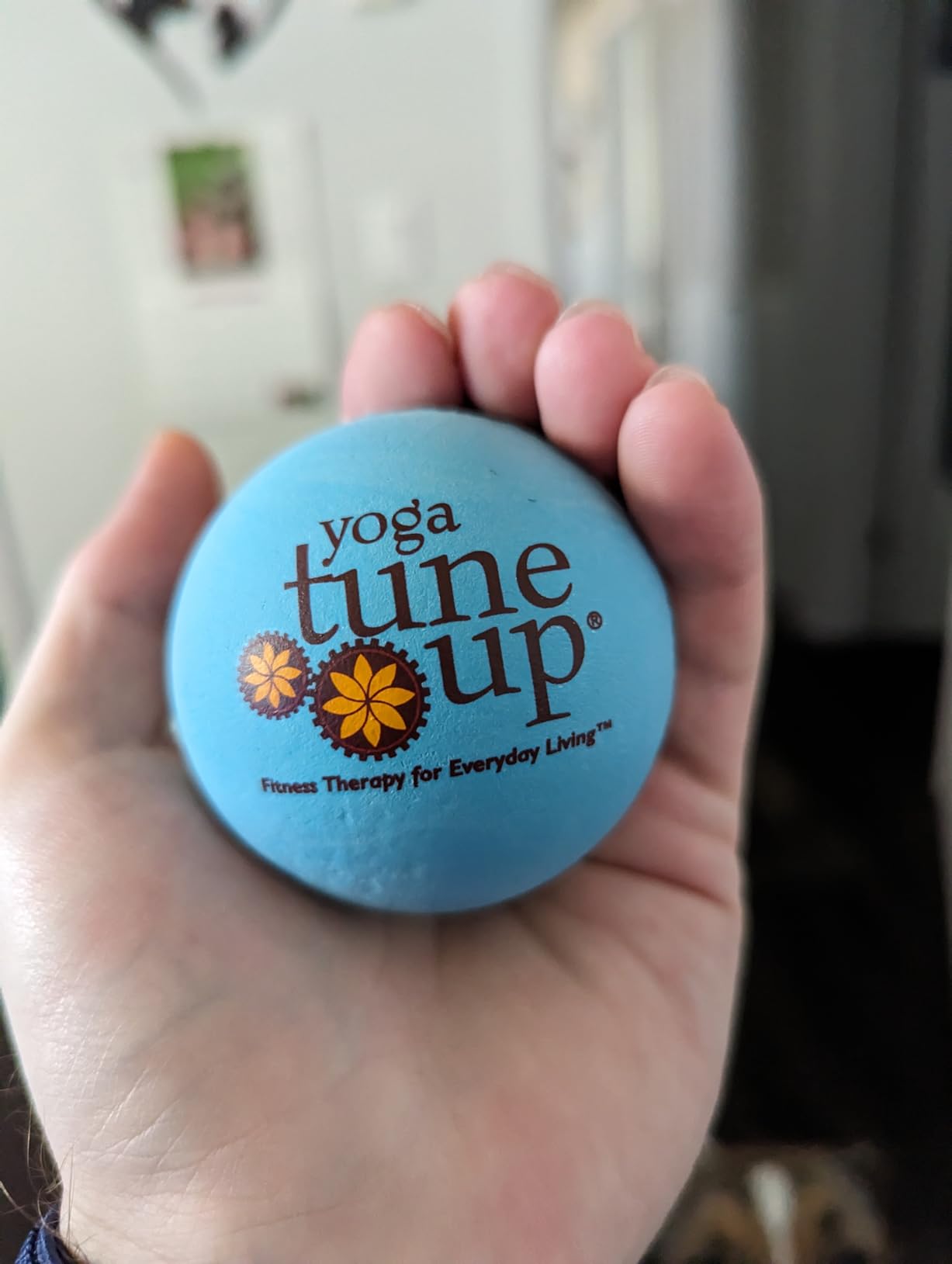 YOGA TUNE UP Therapy Balls in Tote by Tune Up Fitness - Massage Balls for Trigger Point, Pressure Point & Myofascial Release - Use as Single or Peanut Ball for Pain Relief & Relaxation (Deep Purple) customer photo 2