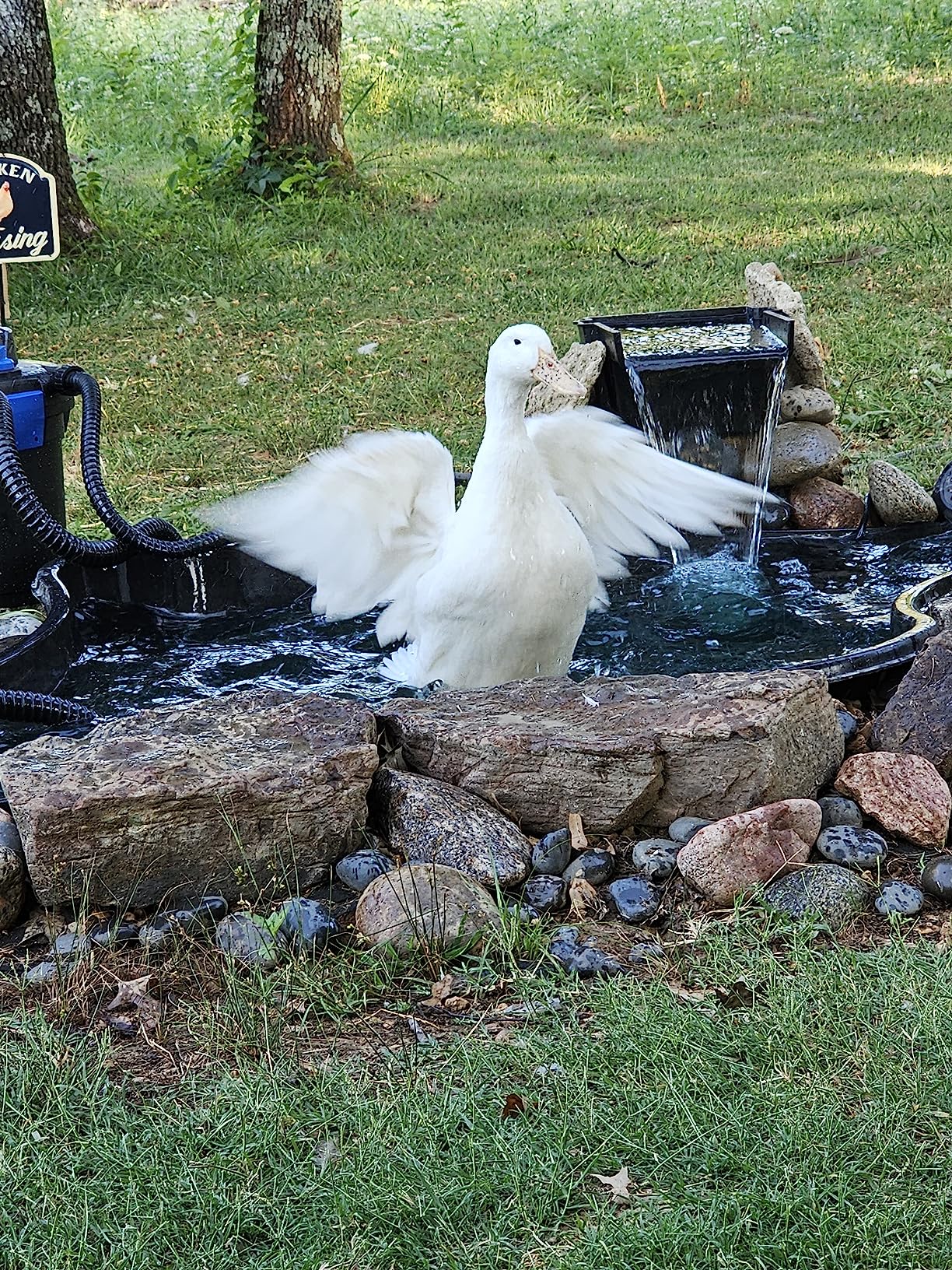 Aquascape 91012 AquaForce 2700 Asynchronous Pump with Protective Cage for Ponds and Pondless Waterfalls customer photo 2