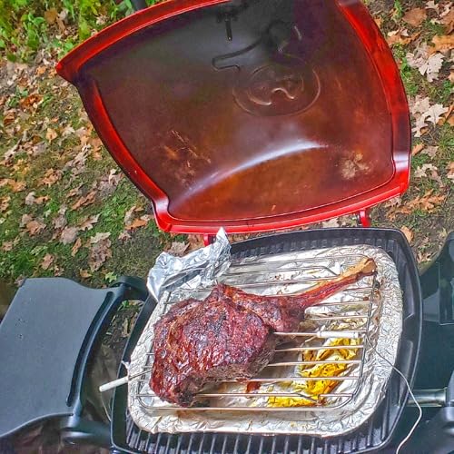 Q1200 Liquid Propane Portable Gas Grill, Titanium - 1-Burner Travel and Camping Grill with Cast-Iron Grates & Electronic Ignition (8,500 BTU Burner) customer photo 1