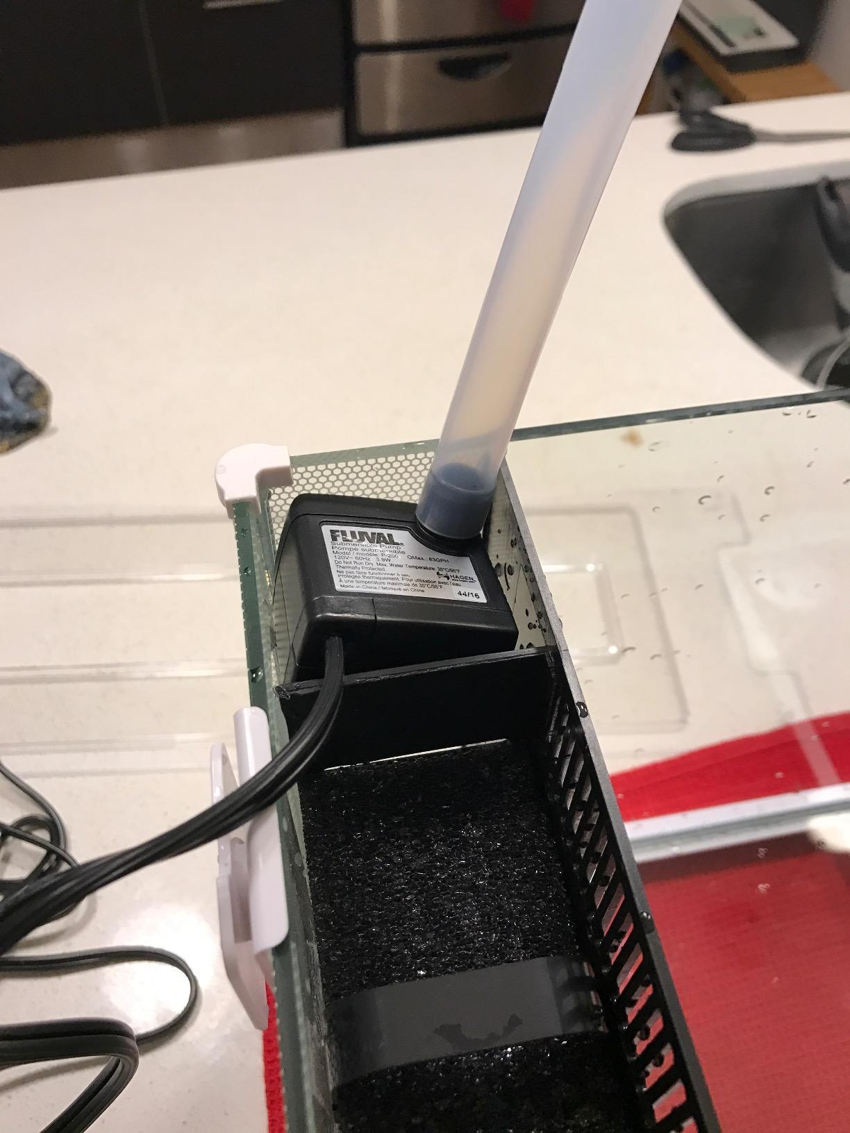 Fluval Spec V Aquarium Kit, 5-Gallon, White customer photo 2