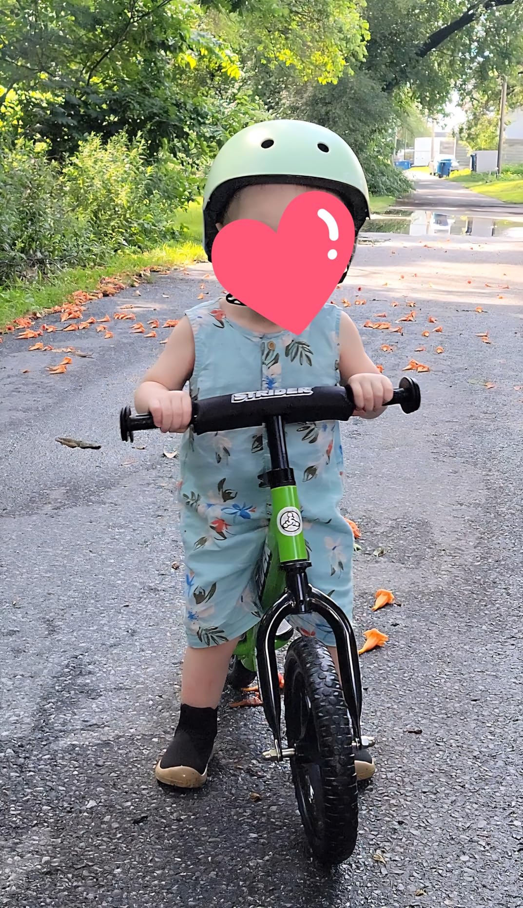 Strider 12 Sport Bike - No Pedal Balance Bicycle for Kids 1 to 4 Years - Includes Safety Pad, Padded Seat, Mini Grips & Flat-Free Tires - Tool-Free Assembly & Adjustments customer photo 1