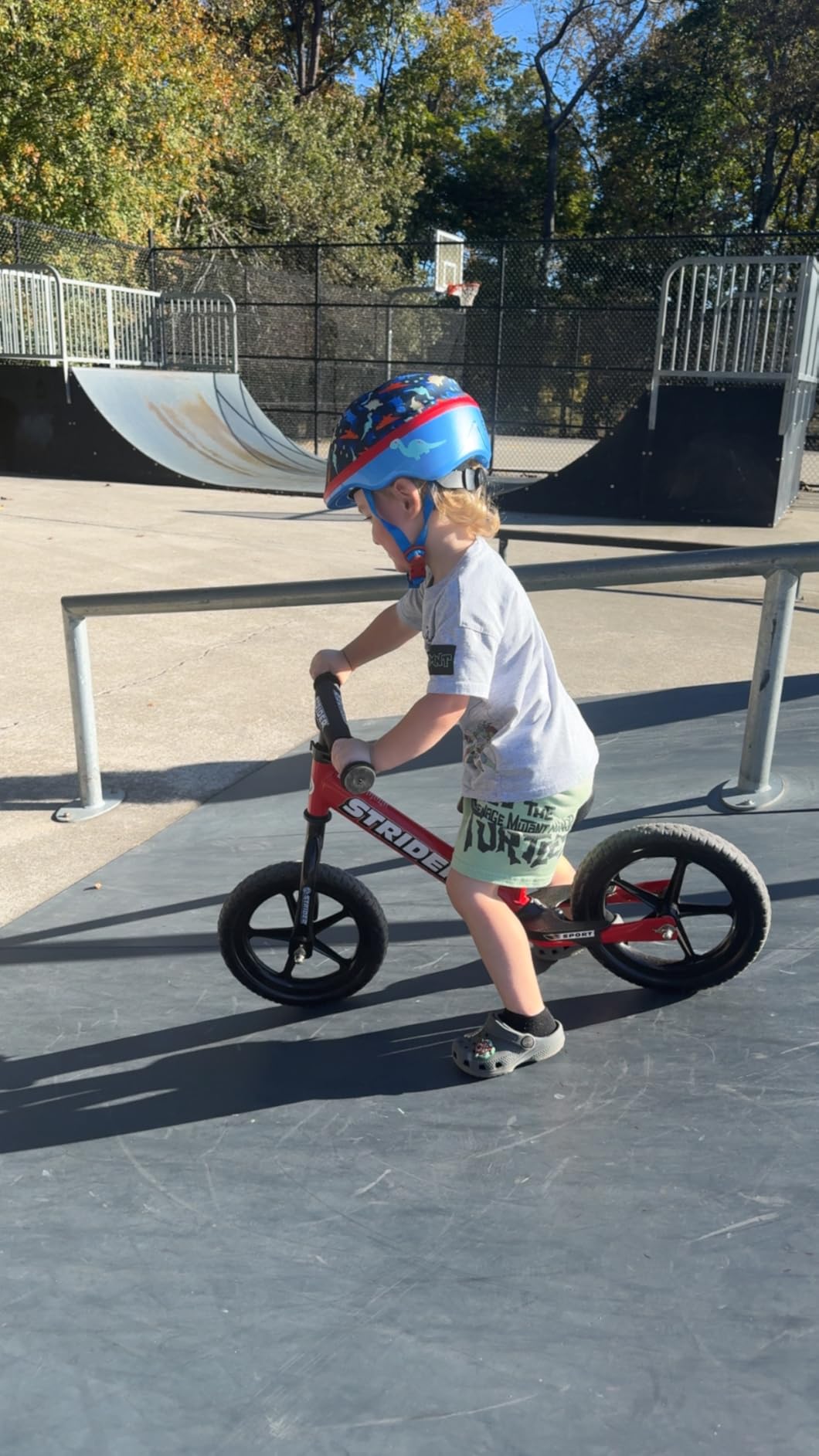 Strider 12 Sport Bike - No Pedal Balance Bicycle for Kids 1 to 4 Years - Includes Safety Pad, Padded Seat, Mini Grips & Flat-Free Tires - Tool-Free Assembly & Adjustments customer photo 2