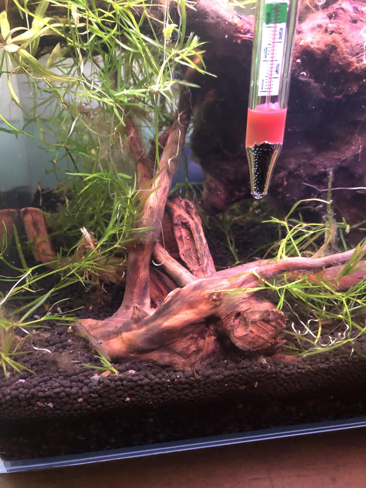 Fluval 12695 Plant and Shrimp Stratum for Freshwater Fish Tanks, 17.6 lbs. - Aquarium Substrate for Strong Plant Growth, Supports Neutral to Slightly Acidic pH customer photo 2